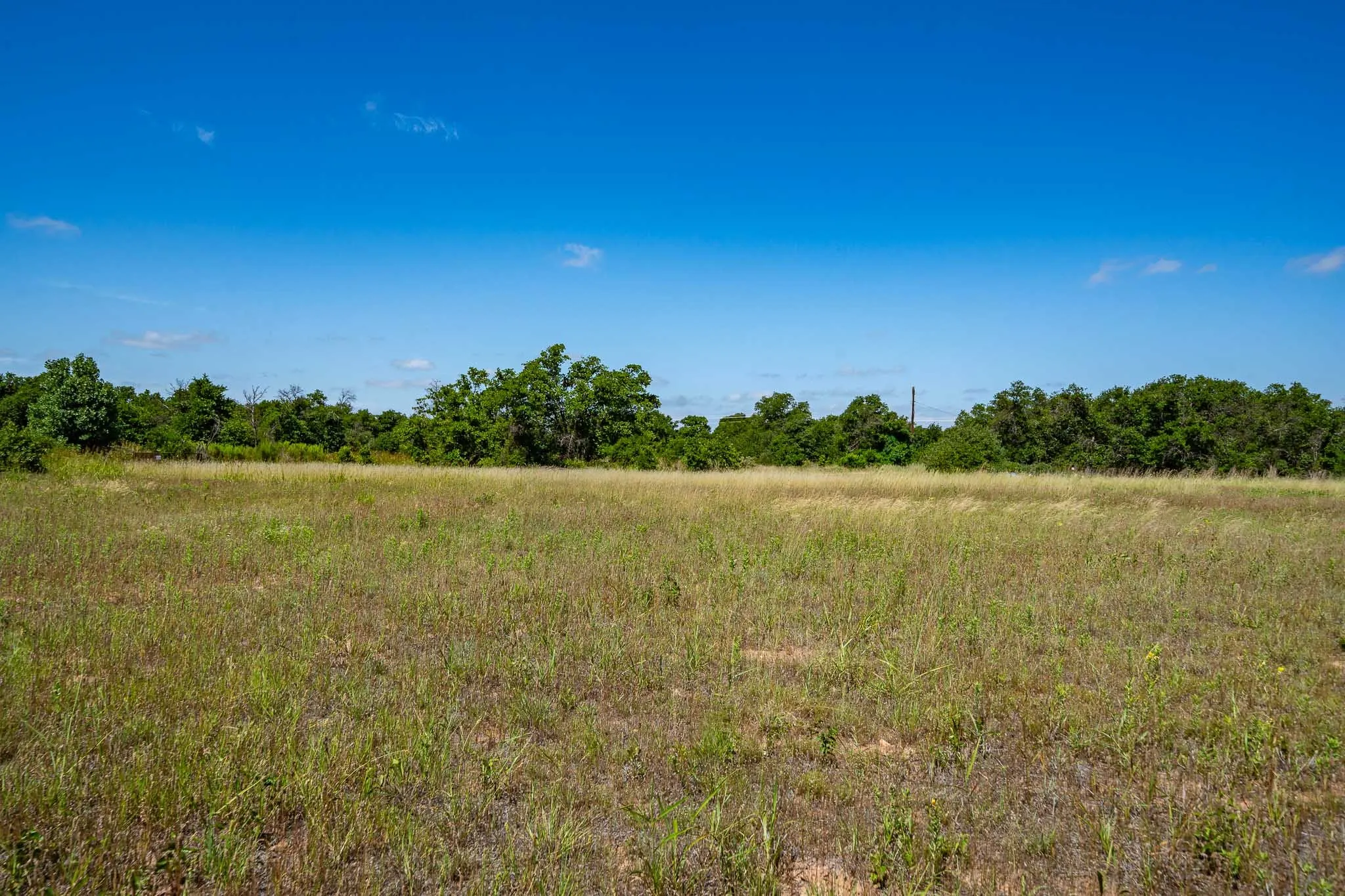 Unimproved Land For Sale in Jones County , TBD LOT#1 County Road 335, Anson, Texas 79501, 0, 0, Garage spaces, 0 Sqft, built in 0, mls#21384391, Real Estate Agent in Anson, Homes For Sale in Jones county, Homes For Sale in Anson, Realtor in Anson Texas, Real Estate Brokerage Independent Realty Texas, Luminita Cordes Realtor