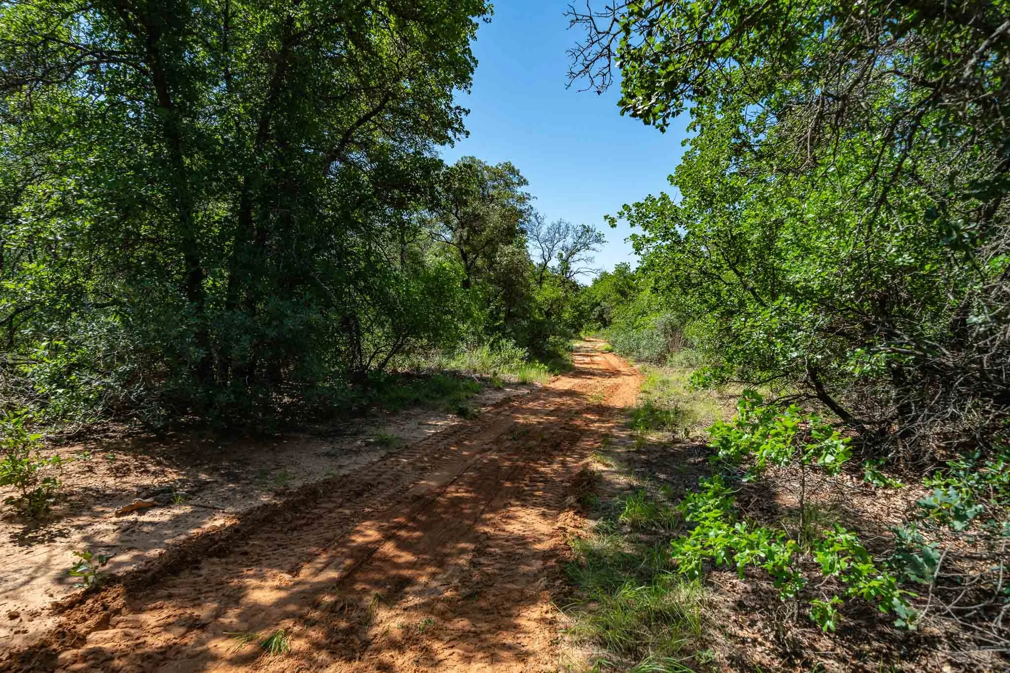 Unimproved Land For Sale in Jones County , TBD LOT#1 County Road 335, Anson, Texas 79501, 0, 0, Garage spaces, 0 Sqft, built in 0, mls#21384391, Real Estate Agent in Anson, Homes For Sale in Jones county, Homes For Sale in Anson, Realtor in Anson Texas, Real Estate Brokerage Independent Realty Texas, Luminita Cordes Realtor