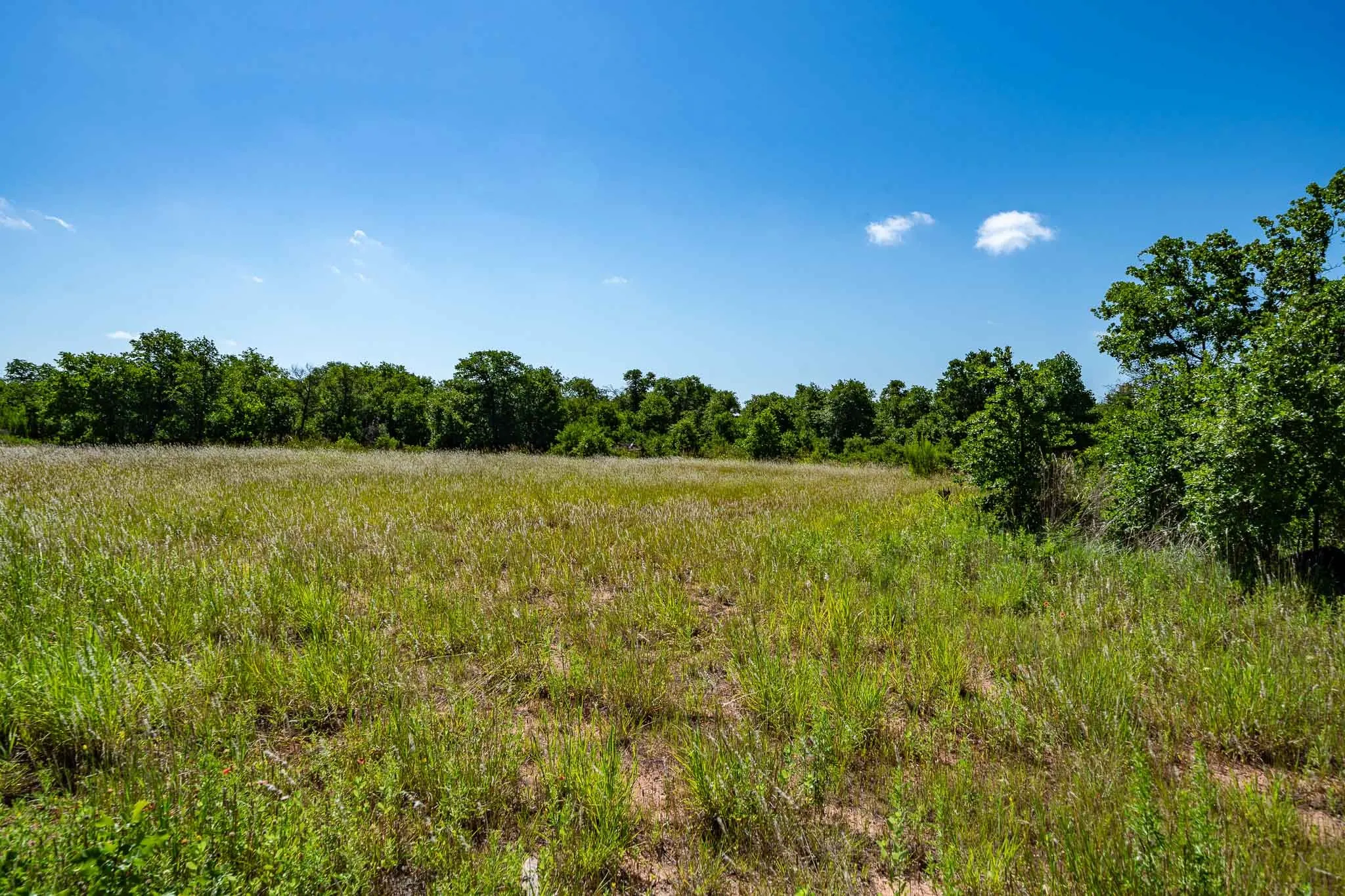 Unimproved Land For Sale in Jones County , TBD LOT#1 County Road 335, Anson, Texas 79501, 0, 0, Garage spaces, 0 Sqft, built in 0, mls#21384391, Real Estate Agent in Anson, Homes For Sale in Jones county, Homes For Sale in Anson, Realtor in Anson Texas, Real Estate Brokerage Independent Realty Texas, Luminita Cordes Realtor
