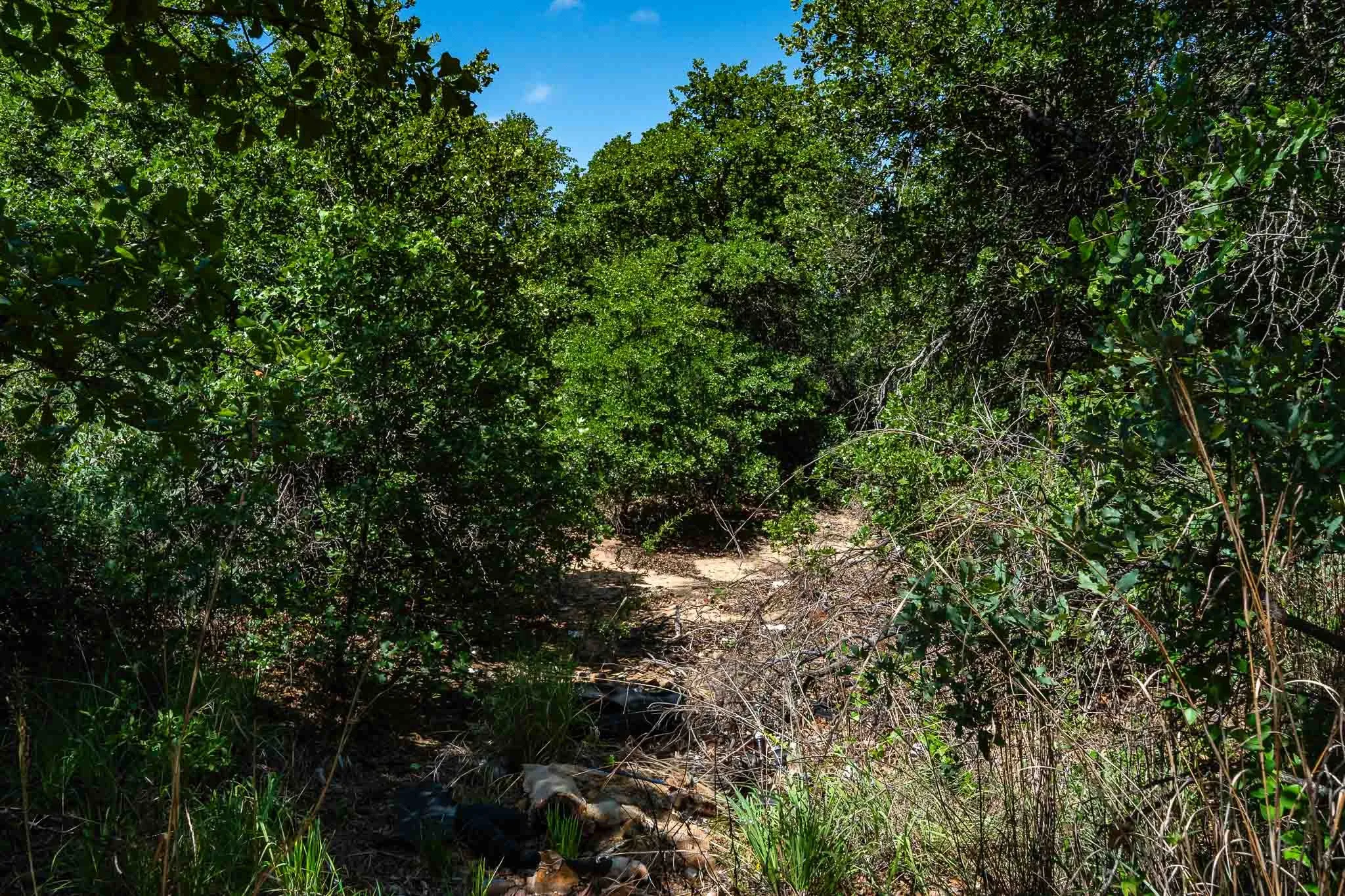 Unimproved Land For Sale in Jones County , TBD LOT#1 County Road 335, Anson, Texas 79501, 0, 0, Garage spaces, 0 Sqft, built in 0, mls#21384391, Real Estate Agent in Anson, Homes For Sale in Jones county, Homes For Sale in Anson, Realtor in Anson Texas, Real Estate Brokerage Independent Realty Texas, Luminita Cordes Realtor