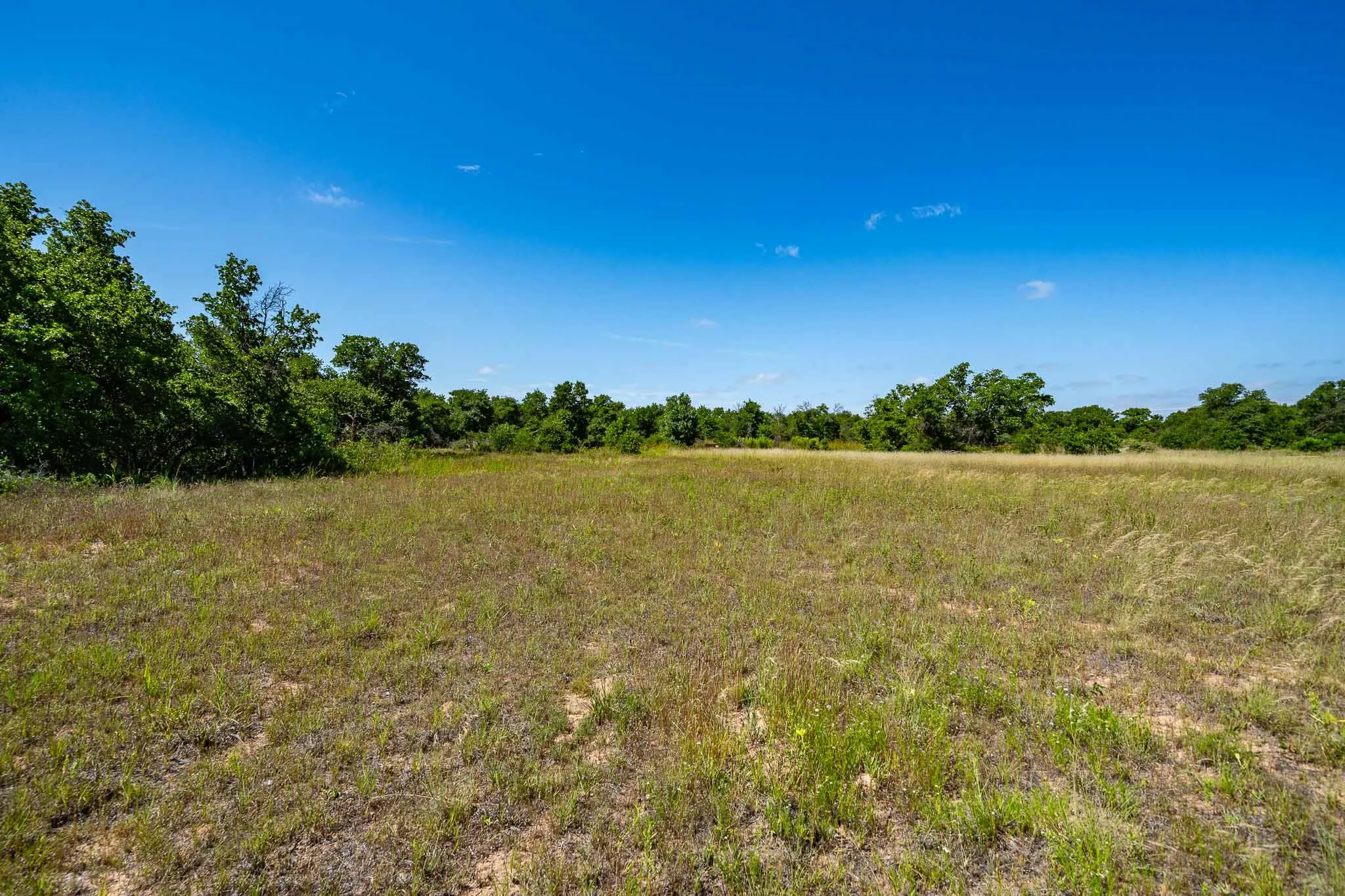 Unimproved Land For Sale in Jones County , TBD LOT#1 County Road 335, Anson, Texas 79501, 0, 0, Garage spaces, 0 Sqft, built in 0, mls#21384391, Real Estate Agent in Anson, Homes For Sale in Jones county, Homes For Sale in Anson, Realtor in Anson Texas, Real Estate Brokerage Independent Realty Texas, Luminita Cordes Realtor
