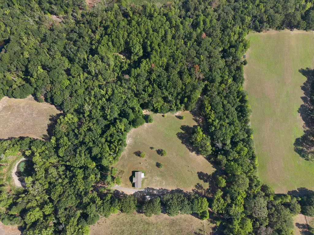 Expansive wooded and open acreage featuring a structure, cleared field areas, and a visible pond