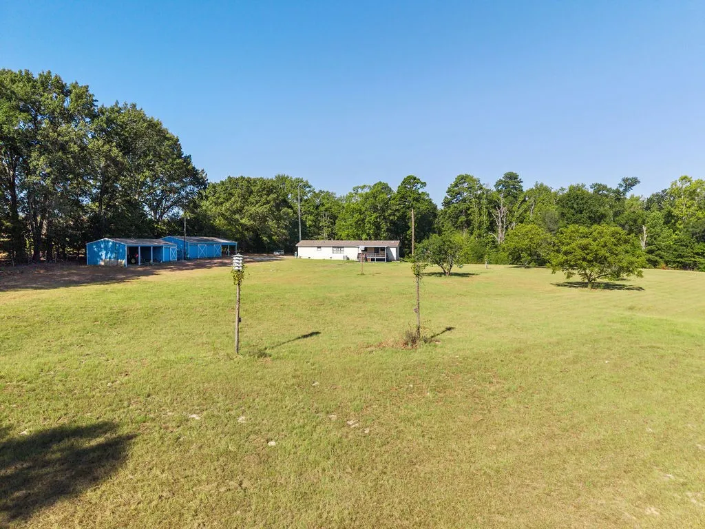 Expansive grassy grounds with scattered trees