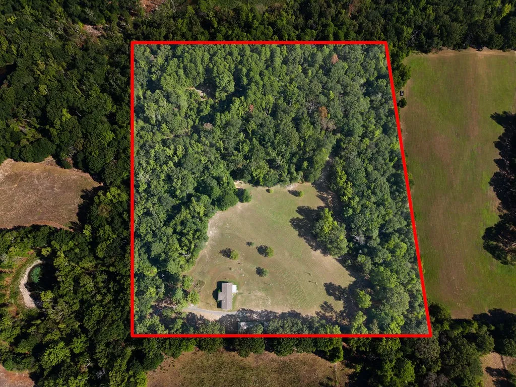 Expansive wooded parcel featuring a clearing with a structure, surrounded by dense trees, and bordered by open land