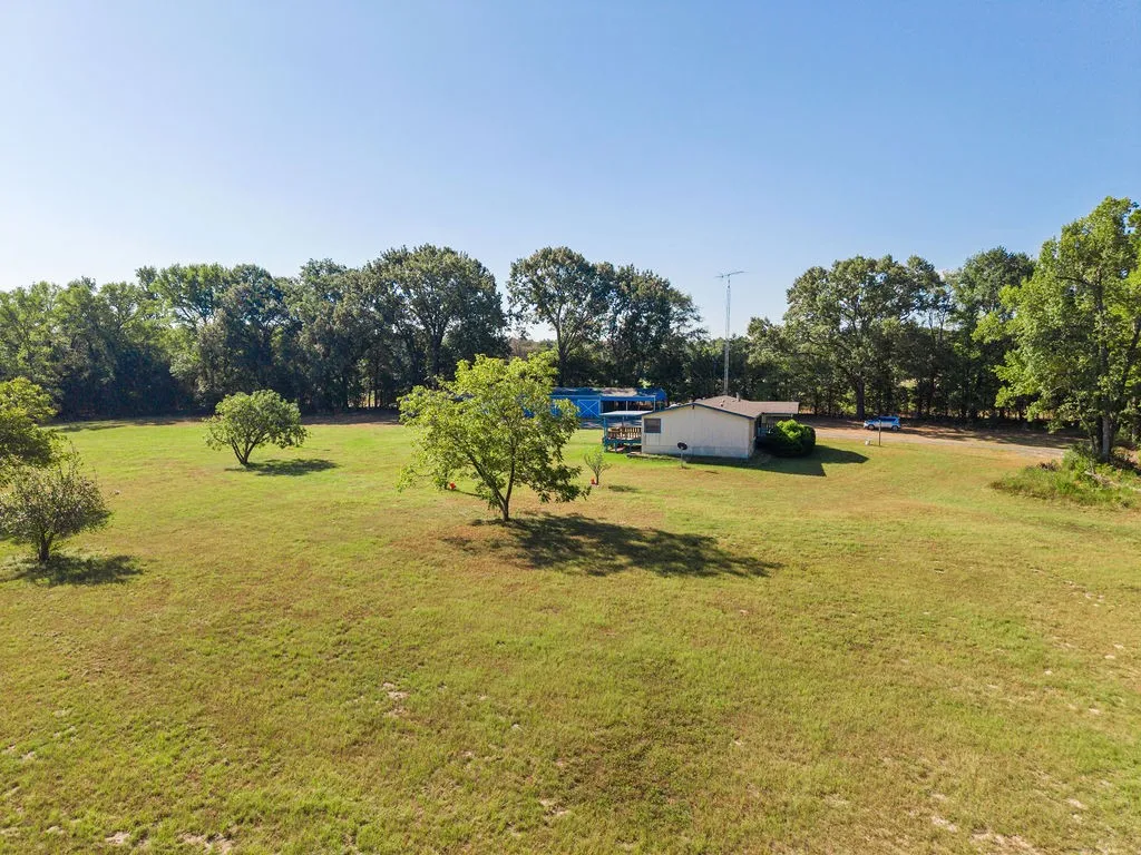 Expansive green space with scattered trees and a natural treeline perimeter