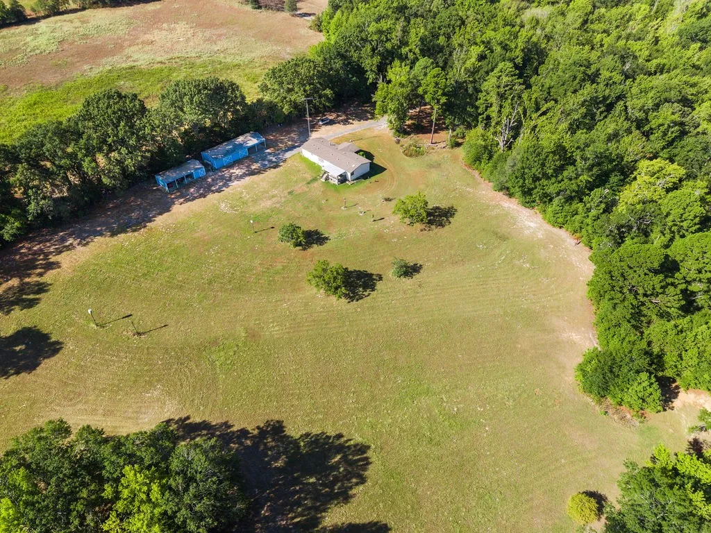 Expansive grassy lot with scattered trees, bordered by mature woodlands