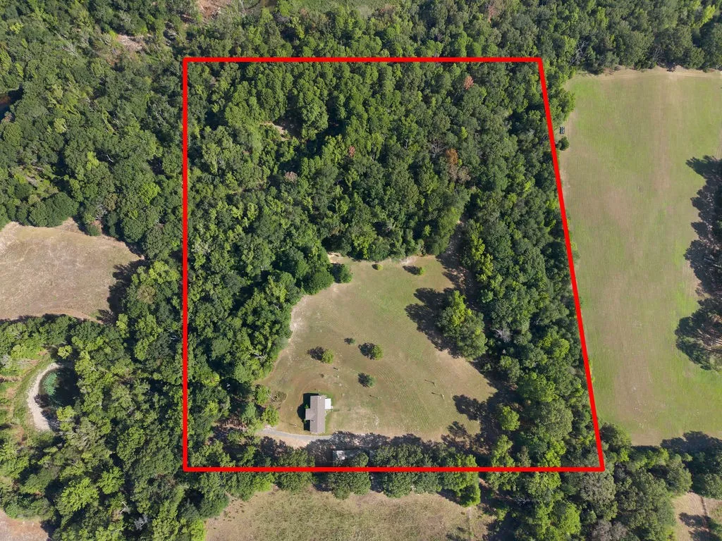 Expansive acreage featuring significant wooded areas, a cleared open field, and a single structure