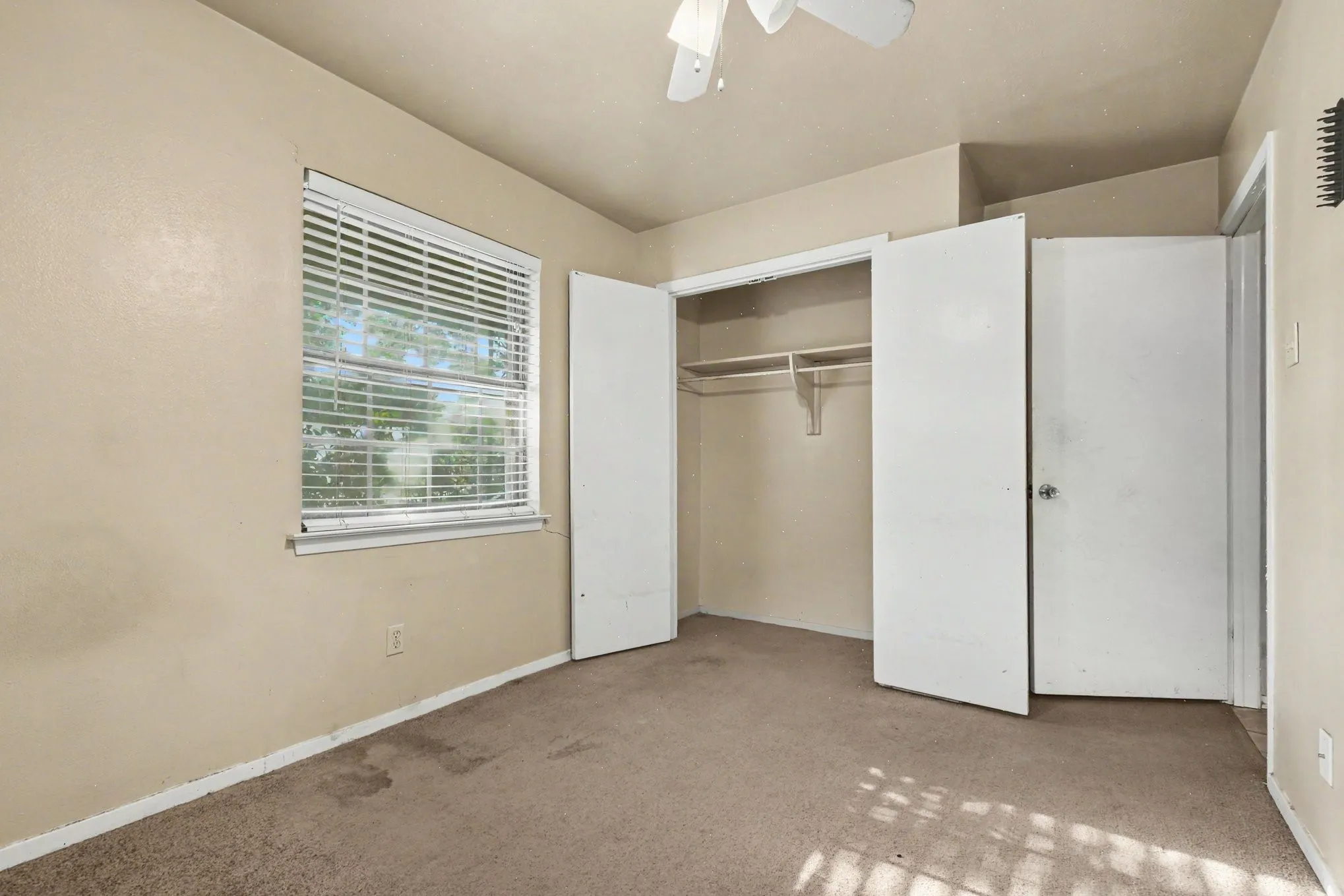 Neutral wall color, window with blinds, built-in closet with shelving, ceiling fan, and carpeted flooring