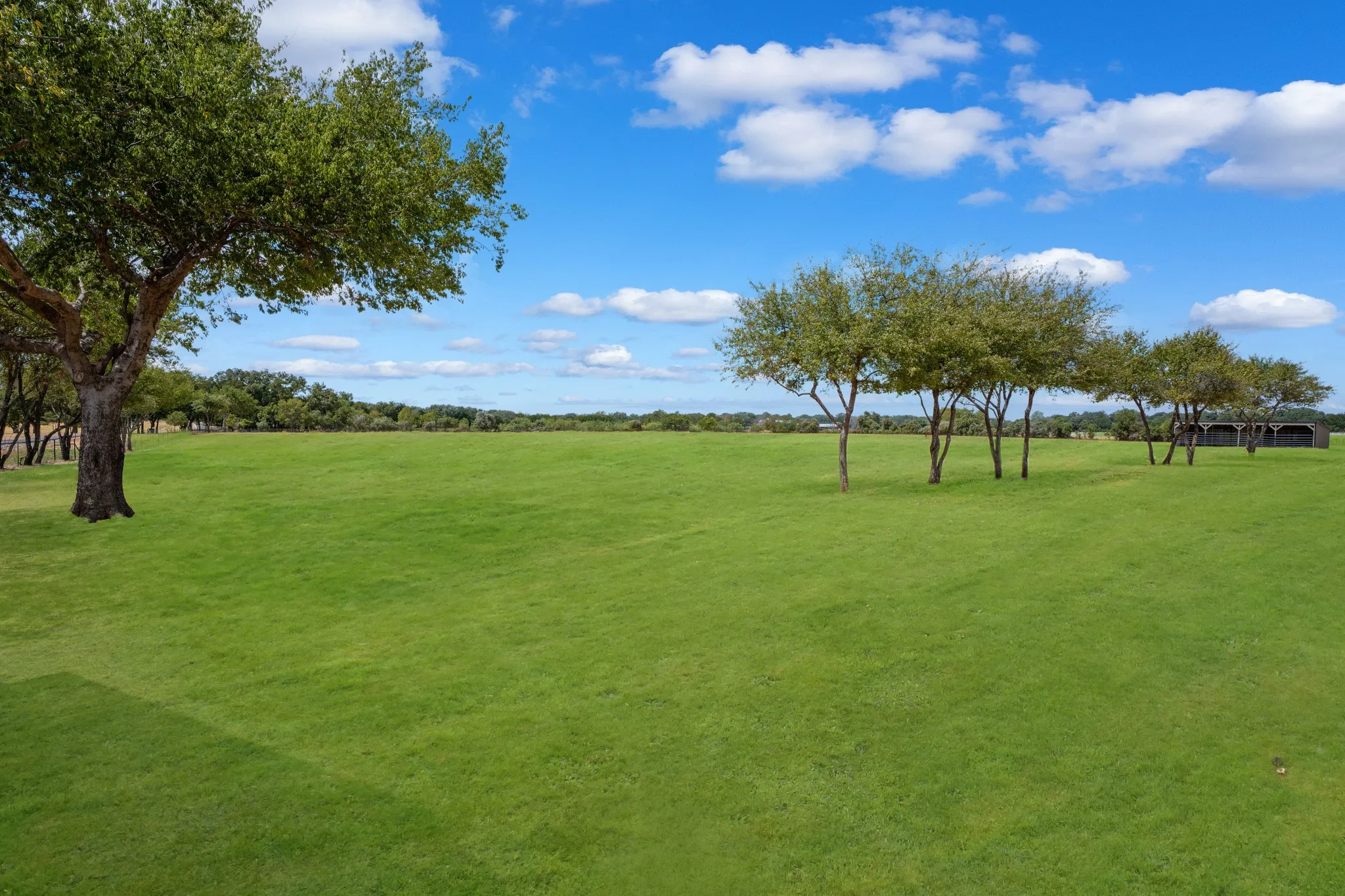 grass greening enhancement