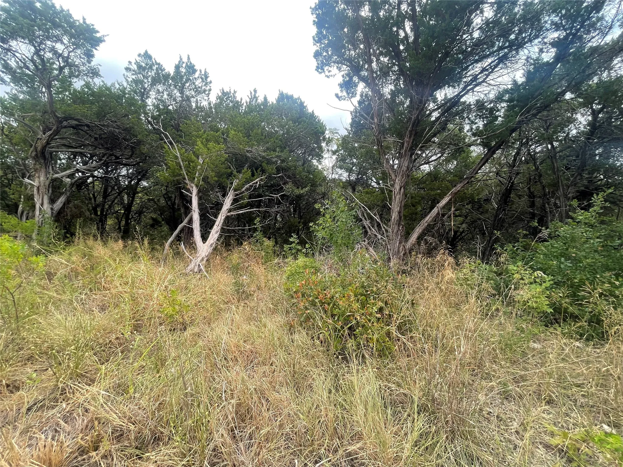 Unimproved Land For Sale in Johnson County , 6451 Archerfield Court E, Cleburne, Texas 76033, 0, 0, Garage spaces, 0 Sqft, built in 0, mls#21382134, Real Estate Agent in Cleburne, Homes For Sale in Johnson county, Homes For Sale in Cleburne, Realtor in Cleburne Texas, Real Estate Brokerage Independent Realty Texas, Luminita Cordes Realtor