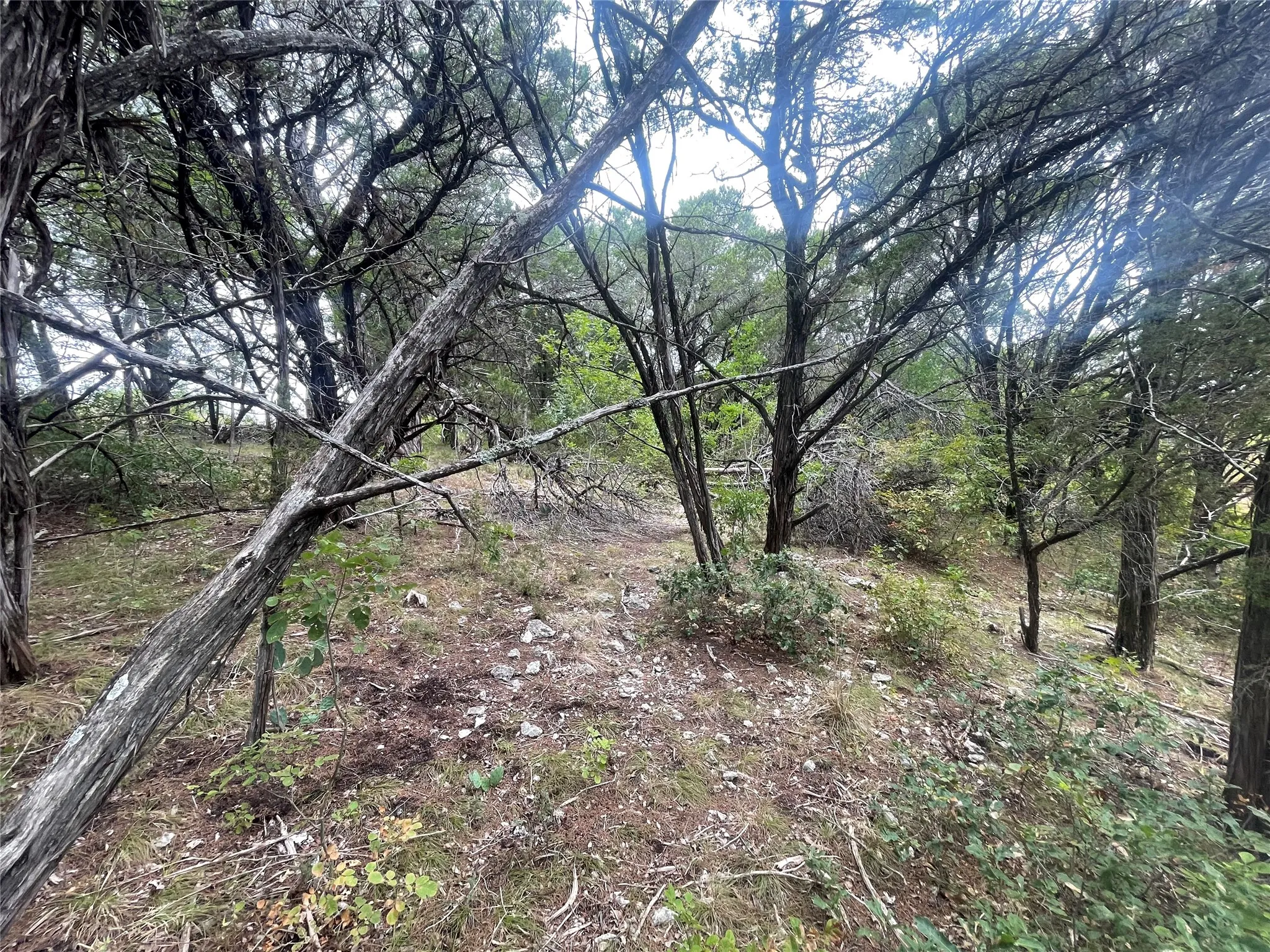 Unimproved Land For Sale in Johnson County , 6451 Archerfield Court E, Cleburne, Texas 76033, 0, 0, Garage spaces, 0 Sqft, built in 0, mls#21382134, Real Estate Agent in Cleburne, Homes For Sale in Johnson county, Homes For Sale in Cleburne, Realtor in Cleburne Texas, Real Estate Brokerage Independent Realty Texas, Luminita Cordes Realtor