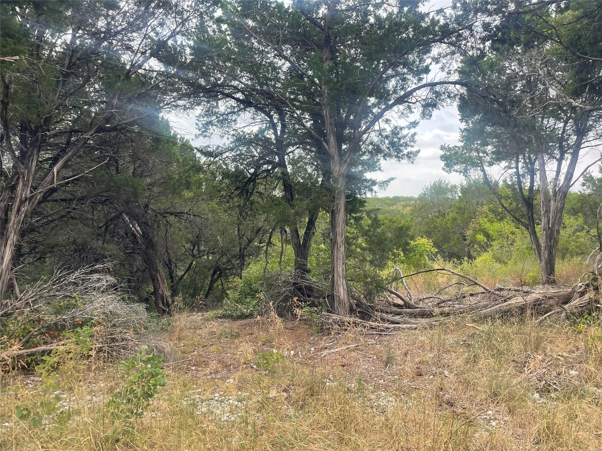 Unimproved Land For Sale in Johnson County , 6451 Archerfield Court E, Cleburne, Texas 76033, 0, 0, Garage spaces, 0 Sqft, built in 0, mls#21382134, Real Estate Agent in Cleburne, Homes For Sale in Johnson county, Homes For Sale in Cleburne, Realtor in Cleburne Texas, Real Estate Brokerage Independent Realty Texas, Luminita Cordes Realtor