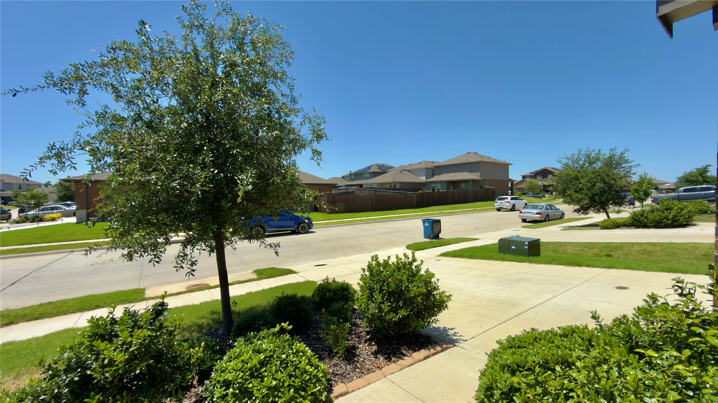 Front yard featuring mature landscaping and a concrete pathway