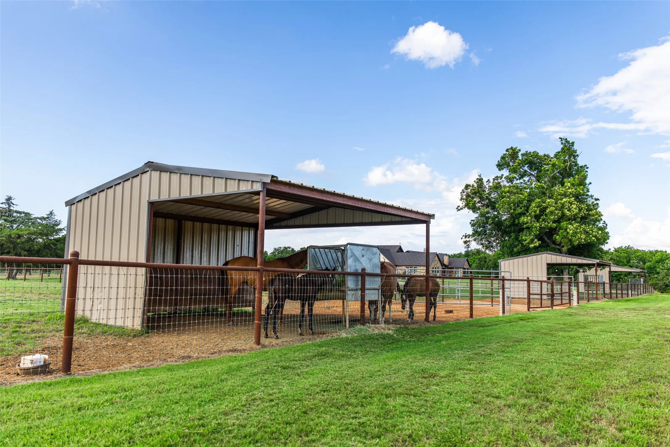 Single Family Residence For Sale in Johnson County , 9050 County Road 519, Alvarado, Texas 76009, 3 Bedroom, 3 Bathroom, 2 Garage spaces, 4,171 Sqft, built in 2022, mls#21384451, Real Estate Agent in Alvarado, Homes For Sale in Johnson county, Homes For Sale in Alvarado, Realtor in Alvarado Texas, Real Estate Brokerage Independent Realty Texas, Luminita Cordes Realtor