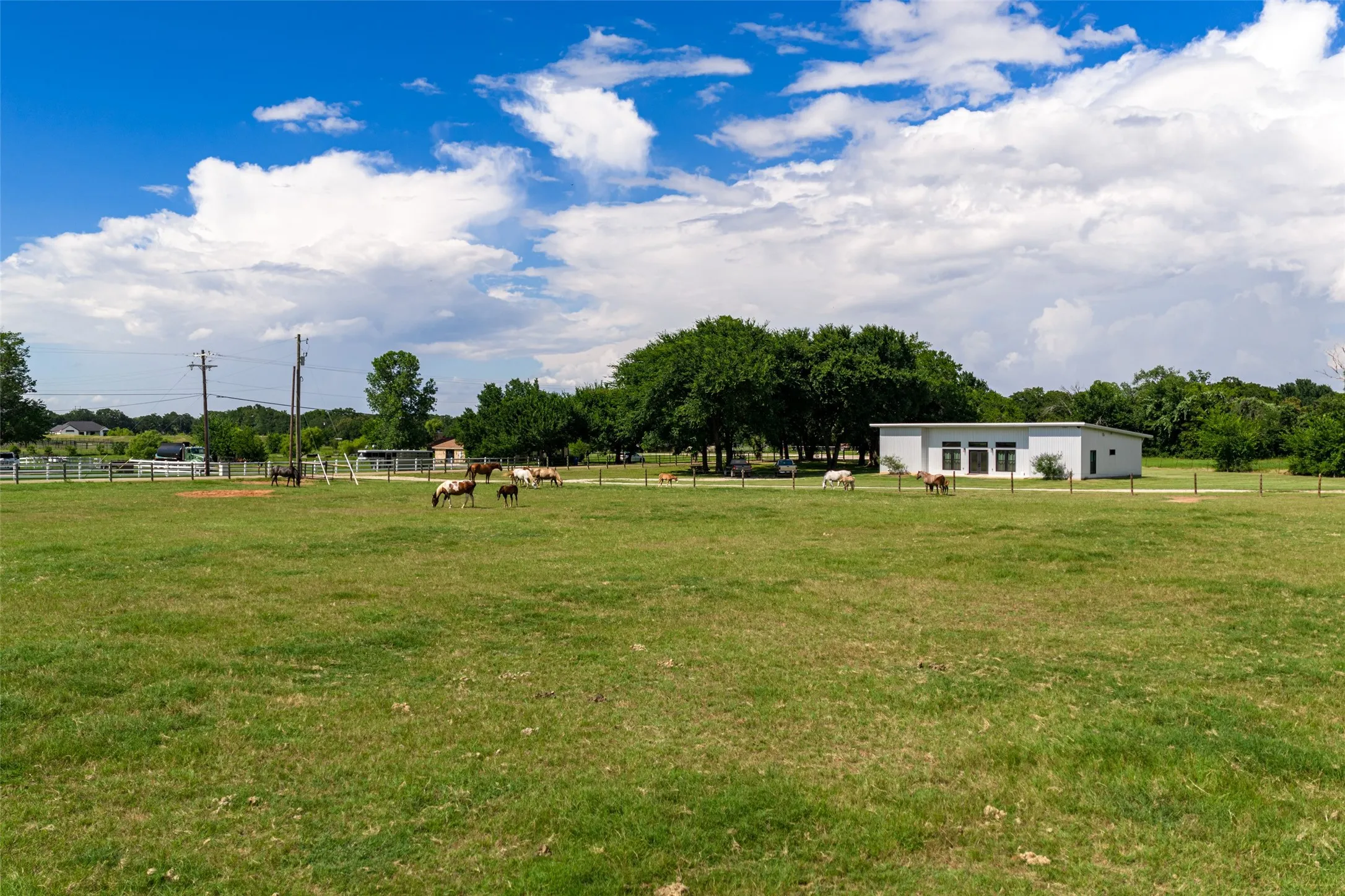 Single Family Residence For Sale in Johnson County , 9050 County Road 519, Alvarado, Texas 76009, 3 Bedroom, 3 Bathroom, 2 Garage spaces, 4,171 Sqft, built in 2022, mls#21384451, Real Estate Agent in Alvarado, Homes For Sale in Johnson county, Homes For Sale in Alvarado, Realtor in Alvarado Texas, Real Estate Brokerage Independent Realty Texas, Luminita Cordes Realtor