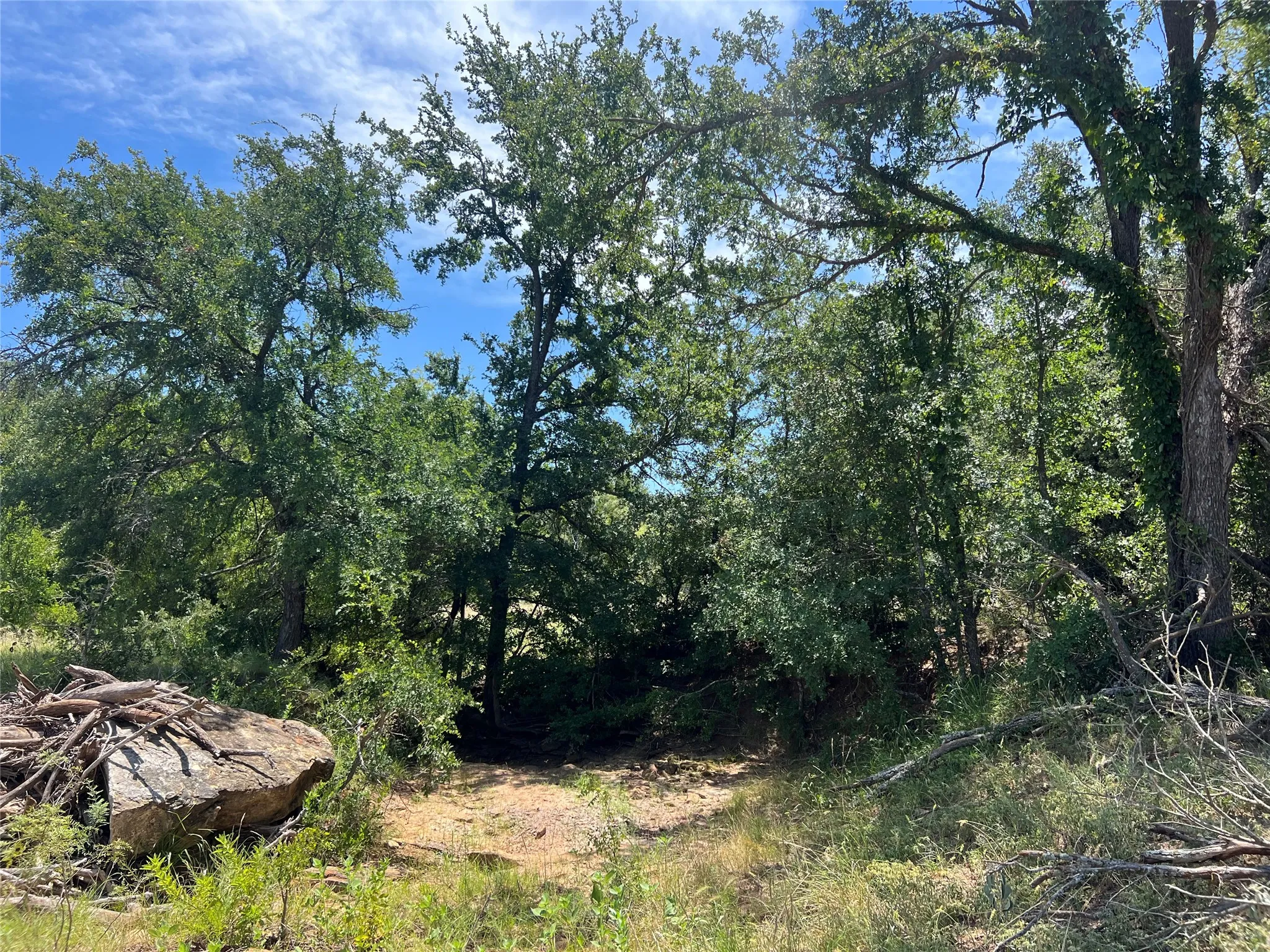 Ranch For Sale in Eastland County , 137 COUNTY ROAD 137, Cisco, Texas 76437, 0, 0, Garage spaces, 0 Sqft, built in 0, mls#21384428, Real Estate Agent in Cisco, Homes For Sale in Eastland county, Homes For Sale in Cisco, Realtor in Cisco Texas, Real Estate Brokerage Independent Realty Texas, Luminita Cordes Realtor