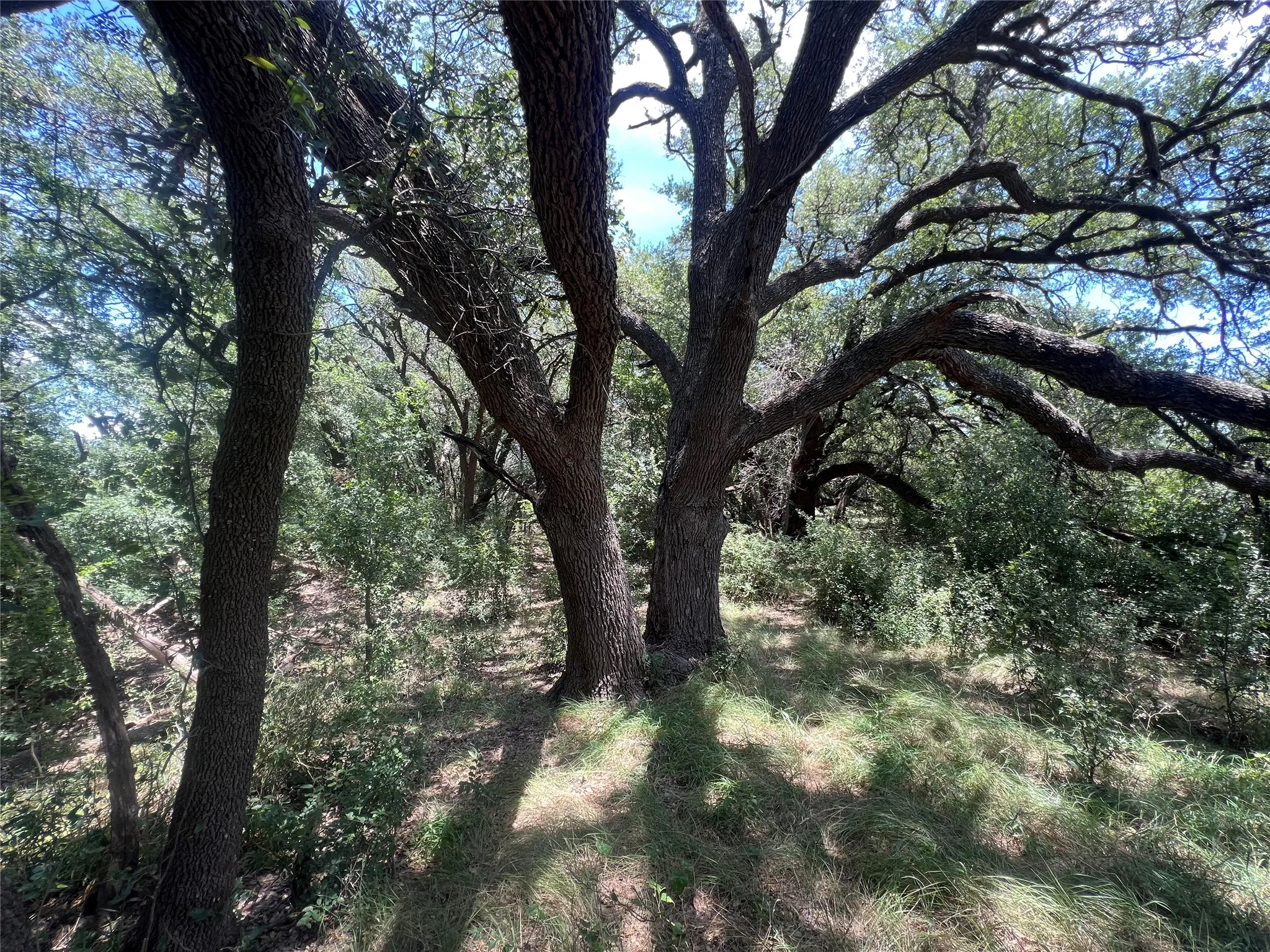 Ranch For Sale in Eastland County , 137 COUNTY ROAD 137, Cisco, Texas 76437, 0, 0, Garage spaces, 0 Sqft, built in 0, mls#21384428, Real Estate Agent in Cisco, Homes For Sale in Eastland county, Homes For Sale in Cisco, Realtor in Cisco Texas, Real Estate Brokerage Independent Realty Texas, Luminita Cordes Realtor