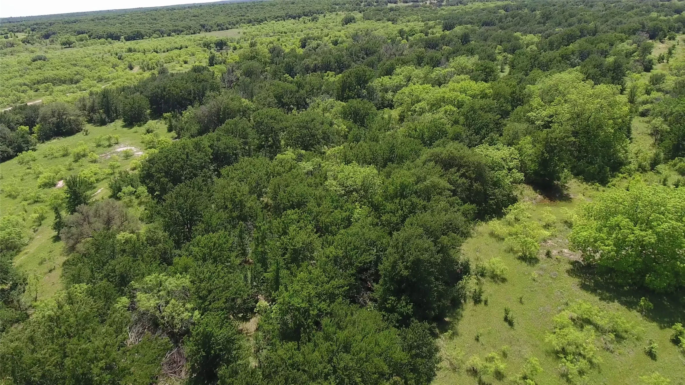 Ranch For Sale in Eastland County , 137 COUNTY ROAD 137, Cisco, Texas 76437, 0, 0, Garage spaces, 0 Sqft, built in 0, mls#21384428, Real Estate Agent in Cisco, Homes For Sale in Eastland county, Homes For Sale in Cisco, Realtor in Cisco Texas, Real Estate Brokerage Independent Realty Texas, Luminita Cordes Realtor