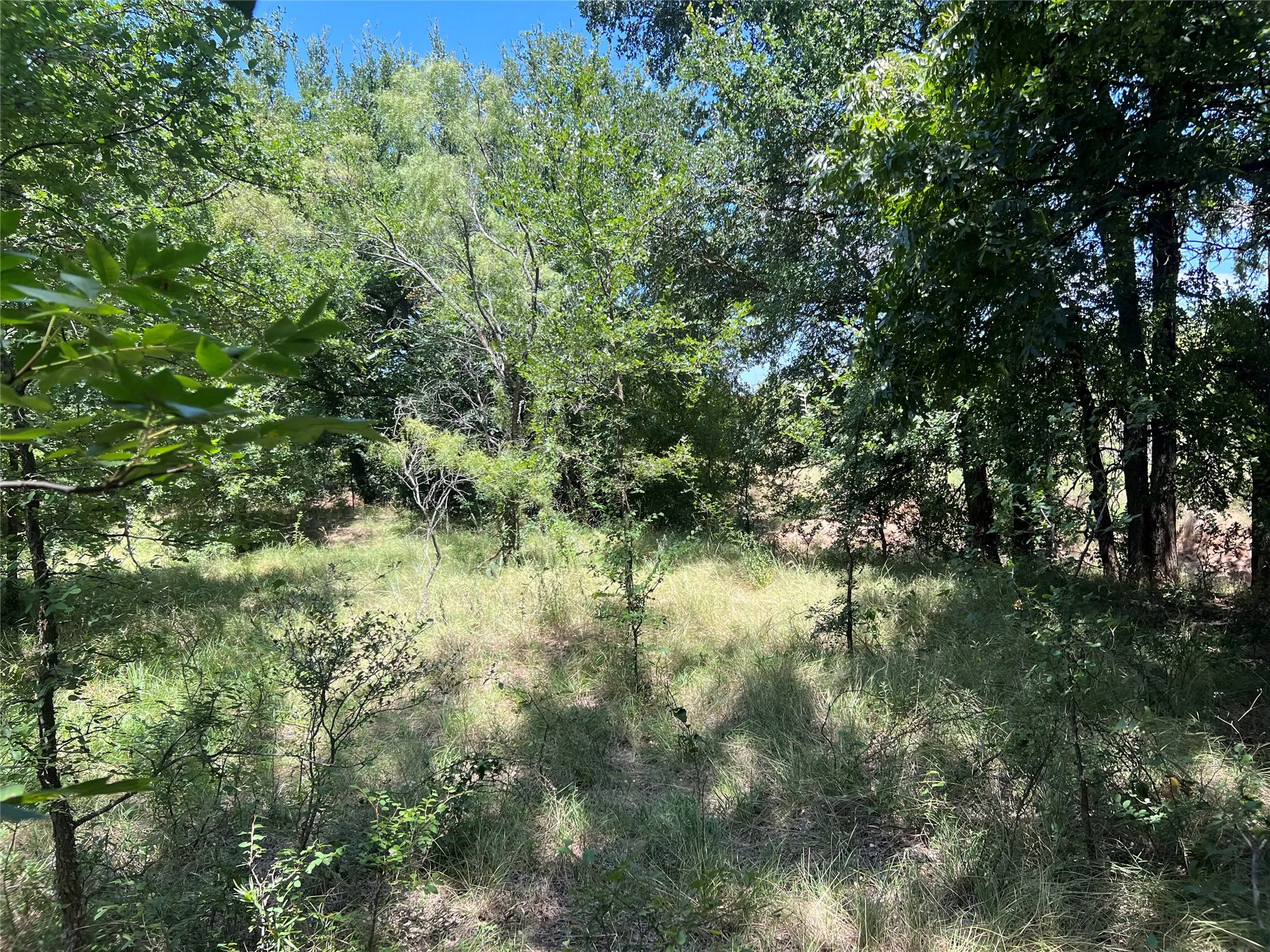 Ranch For Sale in Eastland County , 137 COUNTY ROAD 137, Cisco, Texas 76437, 0, 0, Garage spaces, 0 Sqft, built in 0, mls#21384428, Real Estate Agent in Cisco, Homes For Sale in Eastland county, Homes For Sale in Cisco, Realtor in Cisco Texas, Real Estate Brokerage Independent Realty Texas, Luminita Cordes Realtor