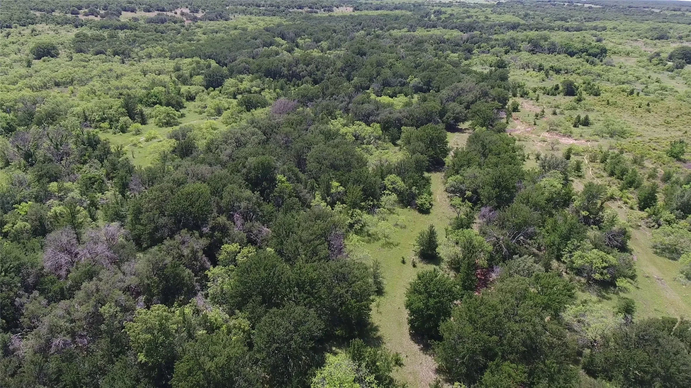 Ranch For Sale in Eastland County , 137 COUNTY ROAD 137, Cisco, Texas 76437, 0, 0, Garage spaces, 0 Sqft, built in 0, mls#21384428, Real Estate Agent in Cisco, Homes For Sale in Eastland county, Homes For Sale in Cisco, Realtor in Cisco Texas, Real Estate Brokerage Independent Realty Texas, Luminita Cordes Realtor