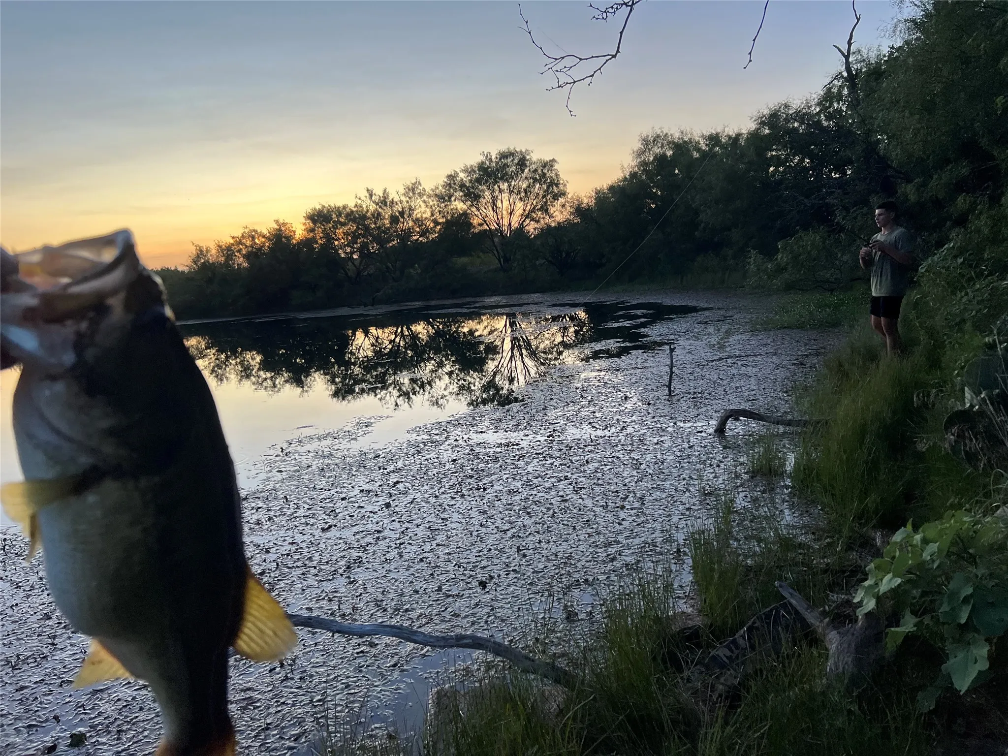 Ranch For Sale in Eastland County , 137 COUNTY ROAD 137, Cisco, Texas 76437, 0, 0, Garage spaces, 0 Sqft, built in 0, mls#21384428, Real Estate Agent in Cisco, Homes For Sale in Eastland county, Homes For Sale in Cisco, Realtor in Cisco Texas, Real Estate Brokerage Independent Realty Texas, Luminita Cordes Realtor