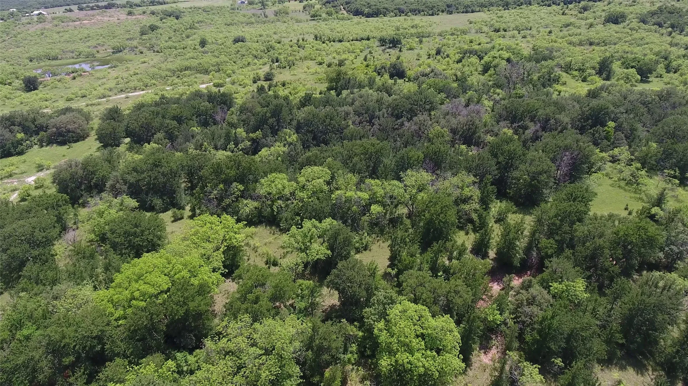 Ranch For Sale in Eastland County , 137 COUNTY ROAD 137, Cisco, Texas 76437, 0, 0, Garage spaces, 0 Sqft, built in 0, mls#21384428, Real Estate Agent in Cisco, Homes For Sale in Eastland county, Homes For Sale in Cisco, Realtor in Cisco Texas, Real Estate Brokerage Independent Realty Texas, Luminita Cordes Realtor