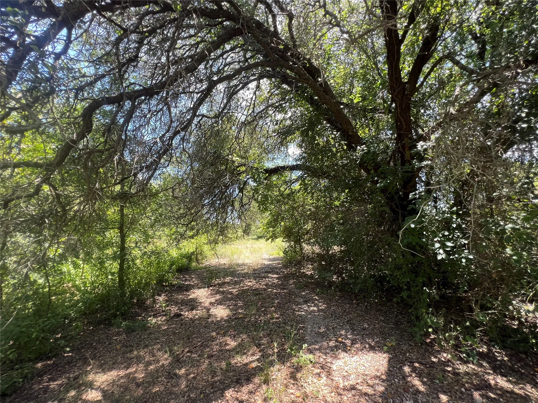 Ranch For Sale in Eastland County , 137 COUNTY ROAD 137, Cisco, Texas 76437, 0, 0, Garage spaces, 0 Sqft, built in 0, mls#21384428, Real Estate Agent in Cisco, Homes For Sale in Eastland county, Homes For Sale in Cisco, Realtor in Cisco Texas, Real Estate Brokerage Independent Realty Texas, Luminita Cordes Realtor