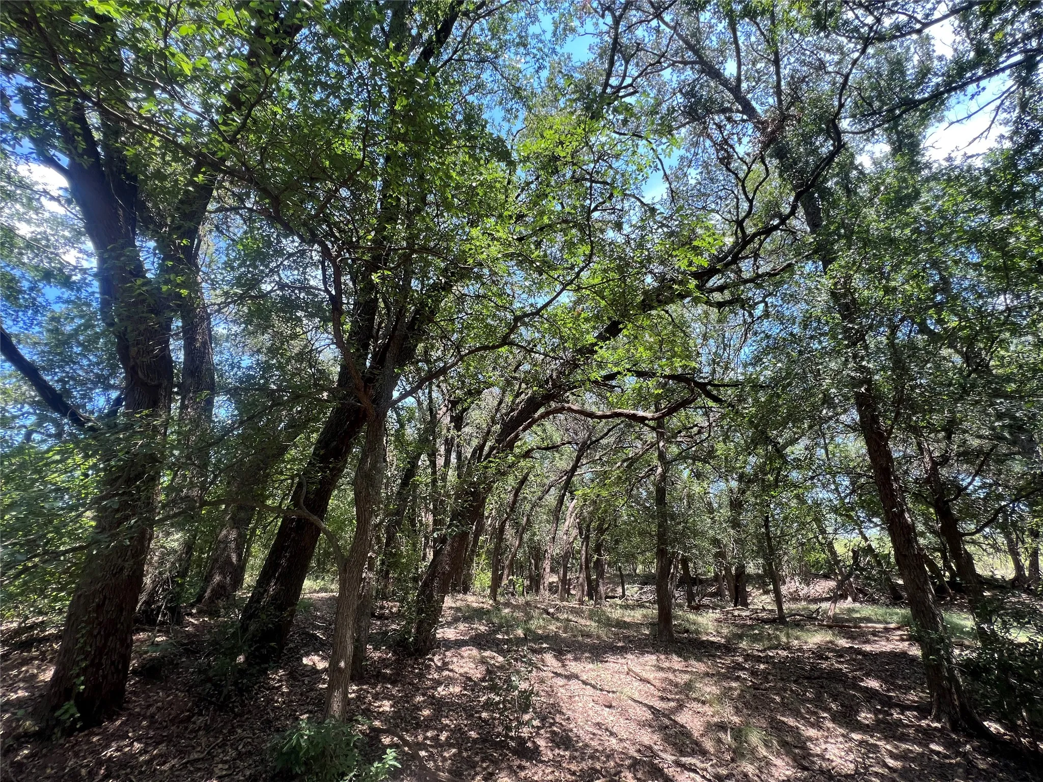 Ranch For Sale in Eastland County , 137 COUNTY ROAD 137, Cisco, Texas 76437, 0, 0, Garage spaces, 0 Sqft, built in 0, mls#21384428, Real Estate Agent in Cisco, Homes For Sale in Eastland county, Homes For Sale in Cisco, Realtor in Cisco Texas, Real Estate Brokerage Independent Realty Texas, Luminita Cordes Realtor
