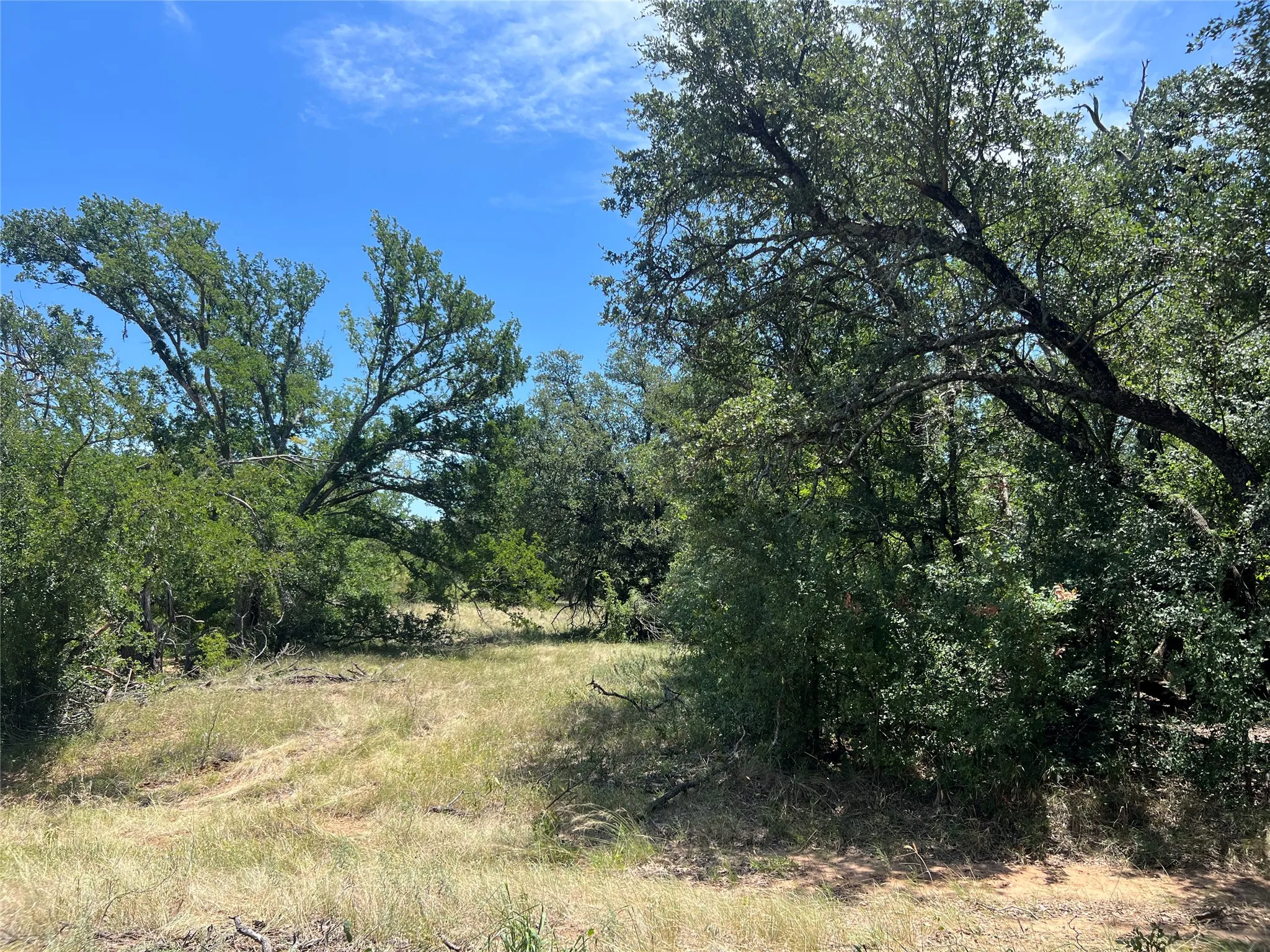 Ranch For Sale in Eastland County , 137 COUNTY ROAD 137, Cisco, Texas 76437, 0, 0, Garage spaces, 0 Sqft, built in 0, mls#21384428, Real Estate Agent in Cisco, Homes For Sale in Eastland county, Homes For Sale in Cisco, Realtor in Cisco Texas, Real Estate Brokerage Independent Realty Texas, Luminita Cordes Realtor