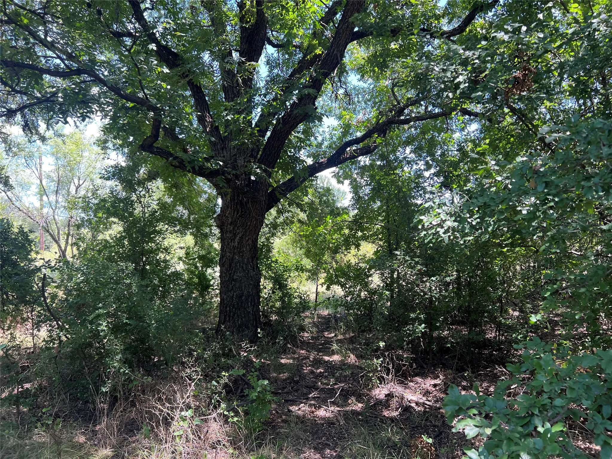 Ranch For Sale in Eastland County , 137 COUNTY ROAD 137, Cisco, Texas 76437, 0, 0, Garage spaces, 0 Sqft, built in 0, mls#21384428, Real Estate Agent in Cisco, Homes For Sale in Eastland county, Homes For Sale in Cisco, Realtor in Cisco Texas, Real Estate Brokerage Independent Realty Texas, Luminita Cordes Realtor