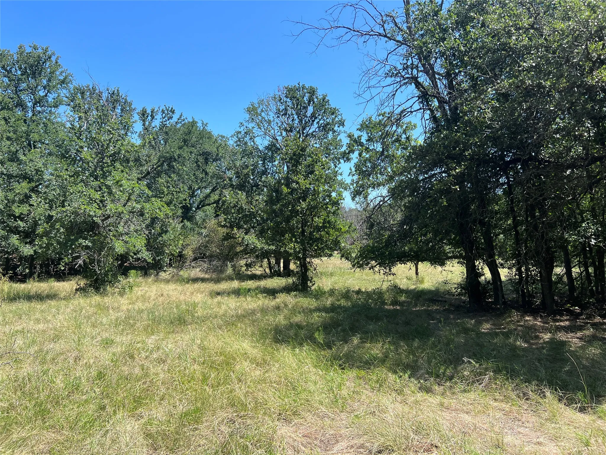 Ranch For Sale in Eastland County , 137 COUNTY ROAD 137, Cisco, Texas 76437, 0, 0, Garage spaces, 0 Sqft, built in 0, mls#21384428, Real Estate Agent in Cisco, Homes For Sale in Eastland county, Homes For Sale in Cisco, Realtor in Cisco Texas, Real Estate Brokerage Independent Realty Texas, Luminita Cordes Realtor