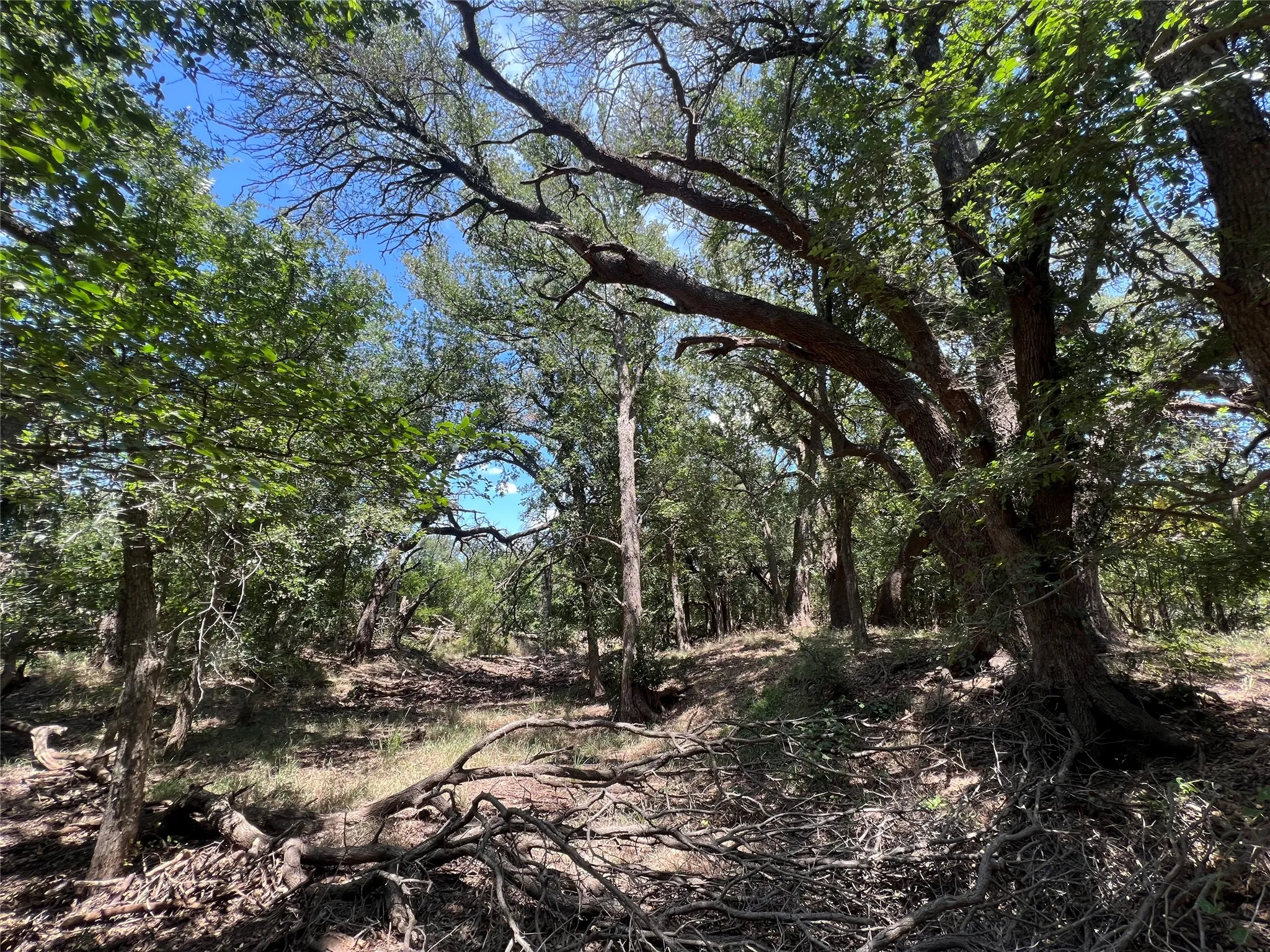 Ranch For Sale in Eastland County , 137 COUNTY ROAD 137, Cisco, Texas 76437, 0, 0, Garage spaces, 0 Sqft, built in 0, mls#21384428, Real Estate Agent in Cisco, Homes For Sale in Eastland county, Homes For Sale in Cisco, Realtor in Cisco Texas, Real Estate Brokerage Independent Realty Texas, Luminita Cordes Realtor