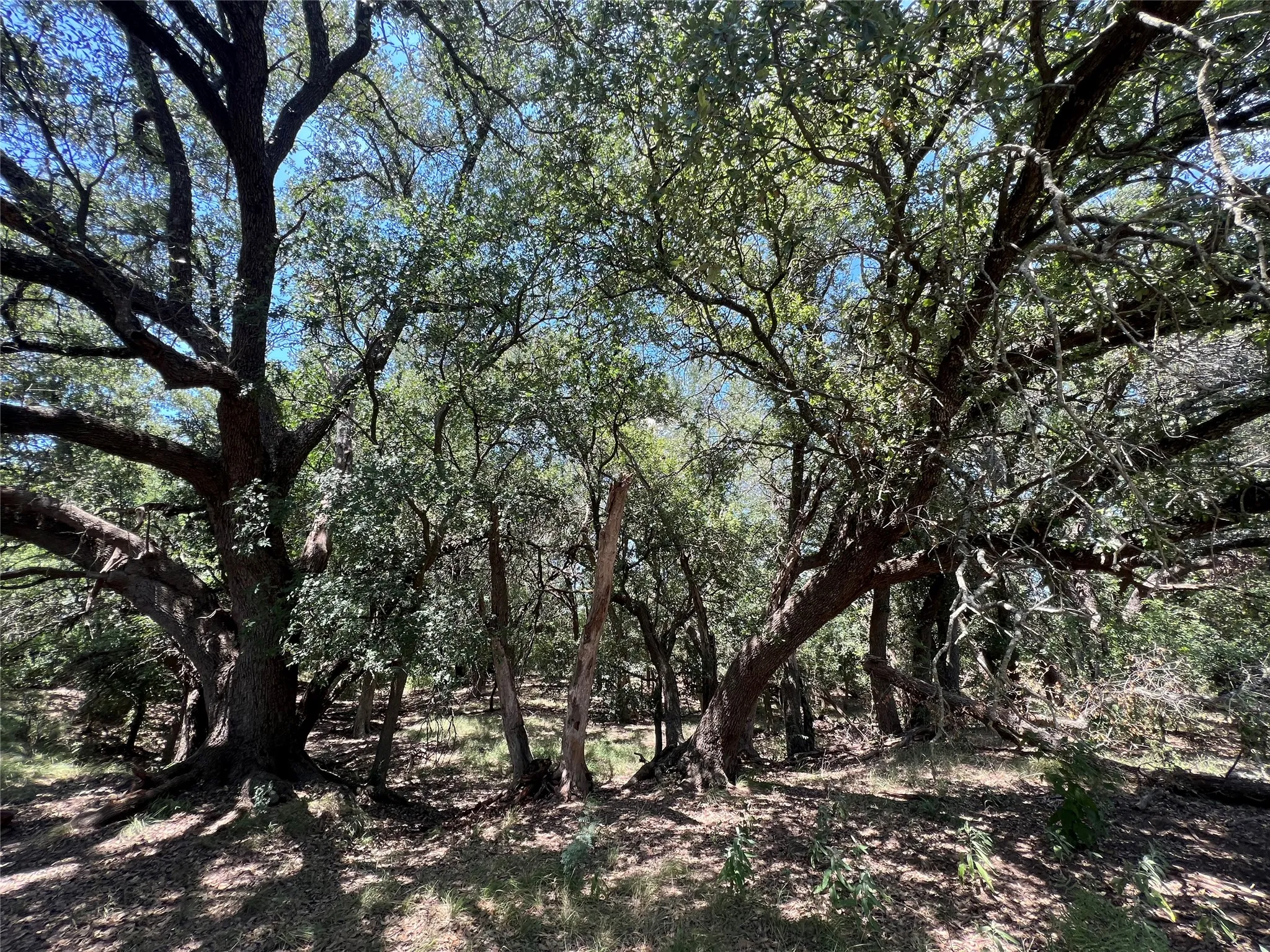 Ranch For Sale in Eastland County , 137 COUNTY ROAD 137, Cisco, Texas 76437, 0, 0, Garage spaces, 0 Sqft, built in 0, mls#21384428, Real Estate Agent in Cisco, Homes For Sale in Eastland county, Homes For Sale in Cisco, Realtor in Cisco Texas, Real Estate Brokerage Independent Realty Texas, Luminita Cordes Realtor