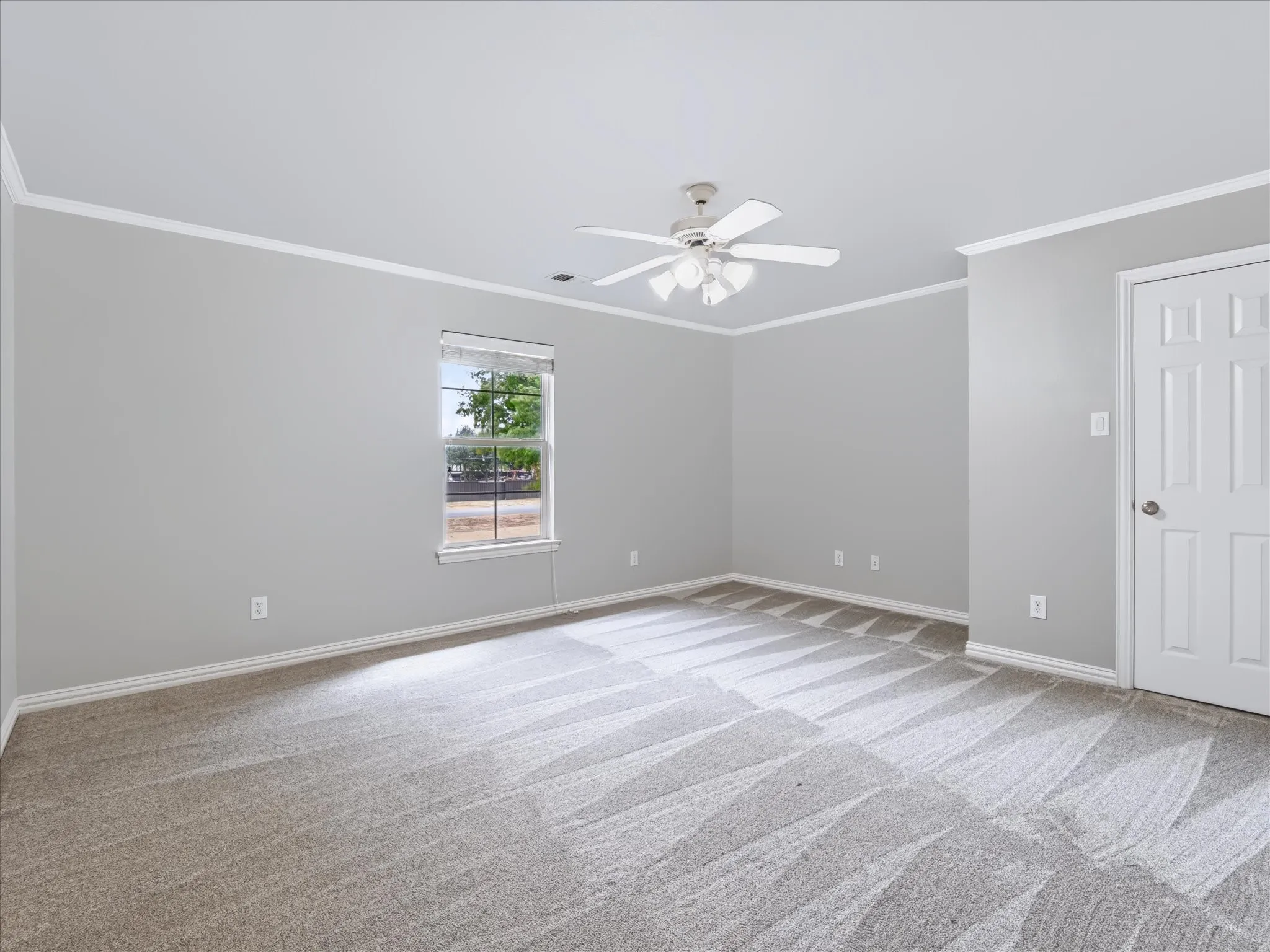 Light gray painted walls with white crown molding