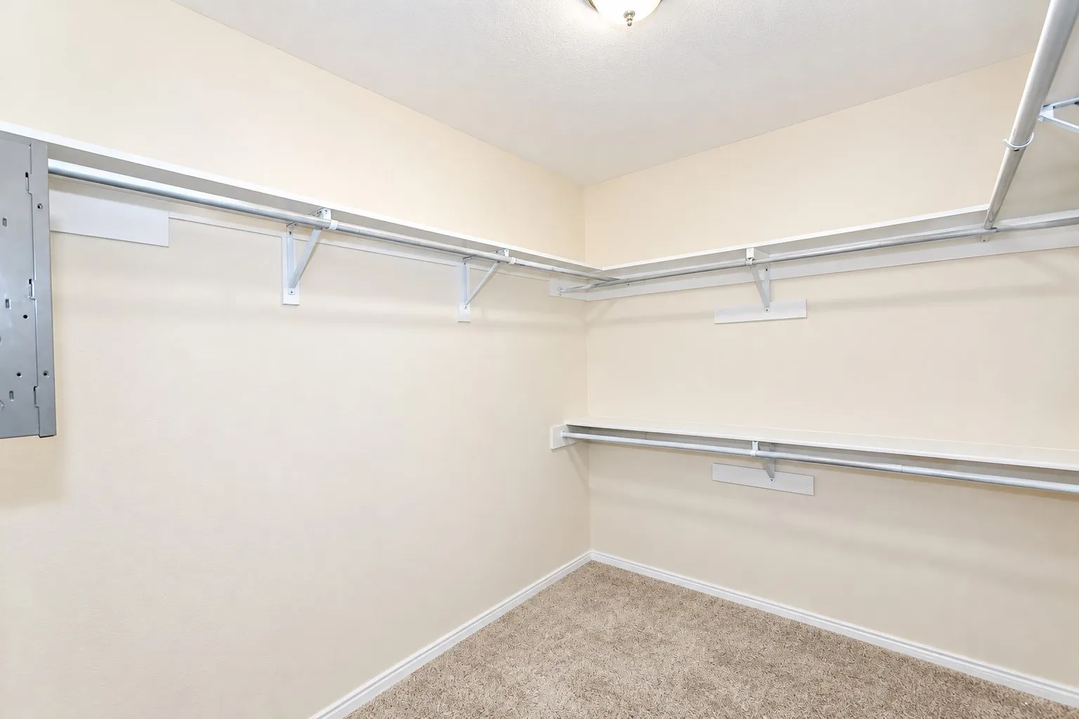 Walk-in closet with carpet flooring, light-toned walls, and multi-level shelving