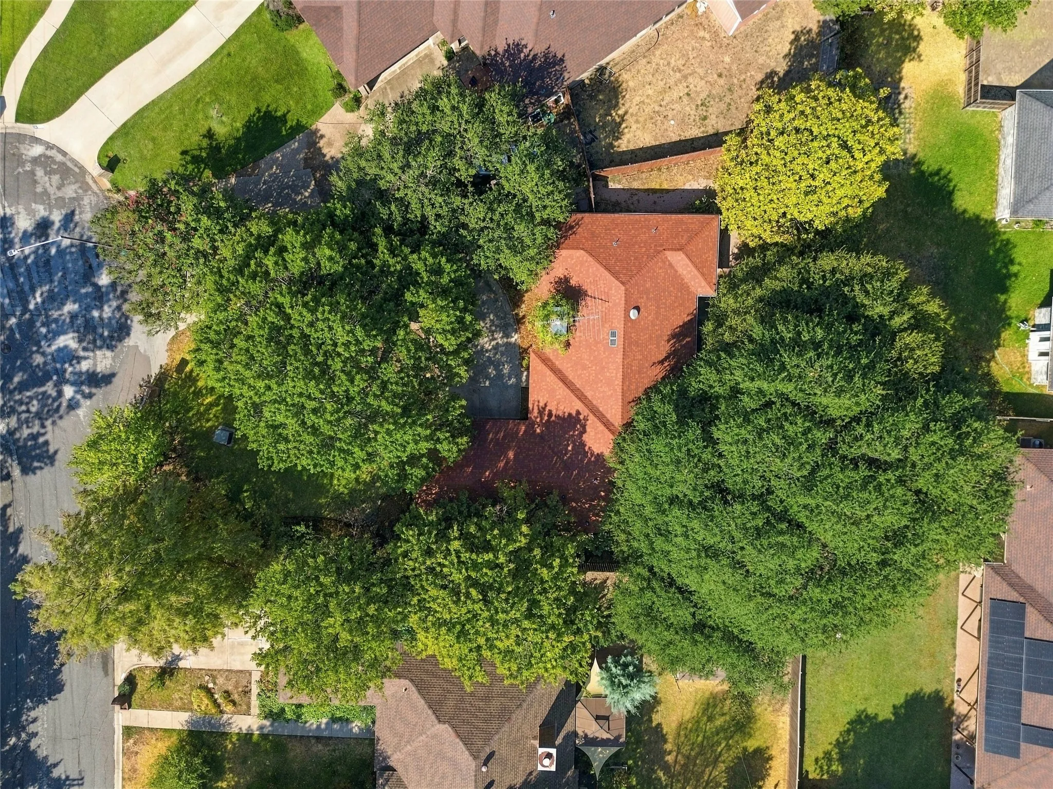 Red-toned roof structure surrounded by mature trees