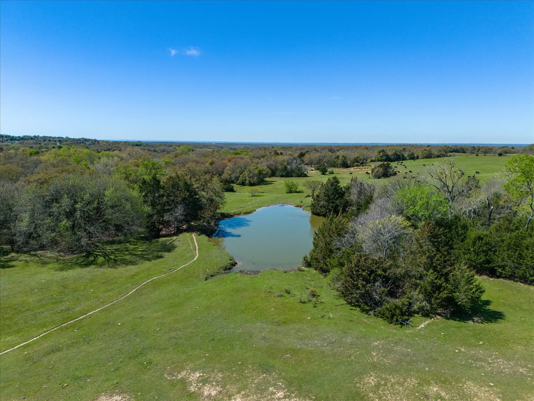 Improved Land For Sale in Wise County , 1230 County Road 2475, Alvord, Texas 76225, 0, 0, Garage spaces, 0 Sqft, built in 0, mls#21383905, Real Estate Agent in Alvord, Homes For Sale in Wise county, Homes For Sale in Alvord, Realtor in Alvord Texas, Real Estate Brokerage Independent Realty Texas, Luminita Cordes Realtor