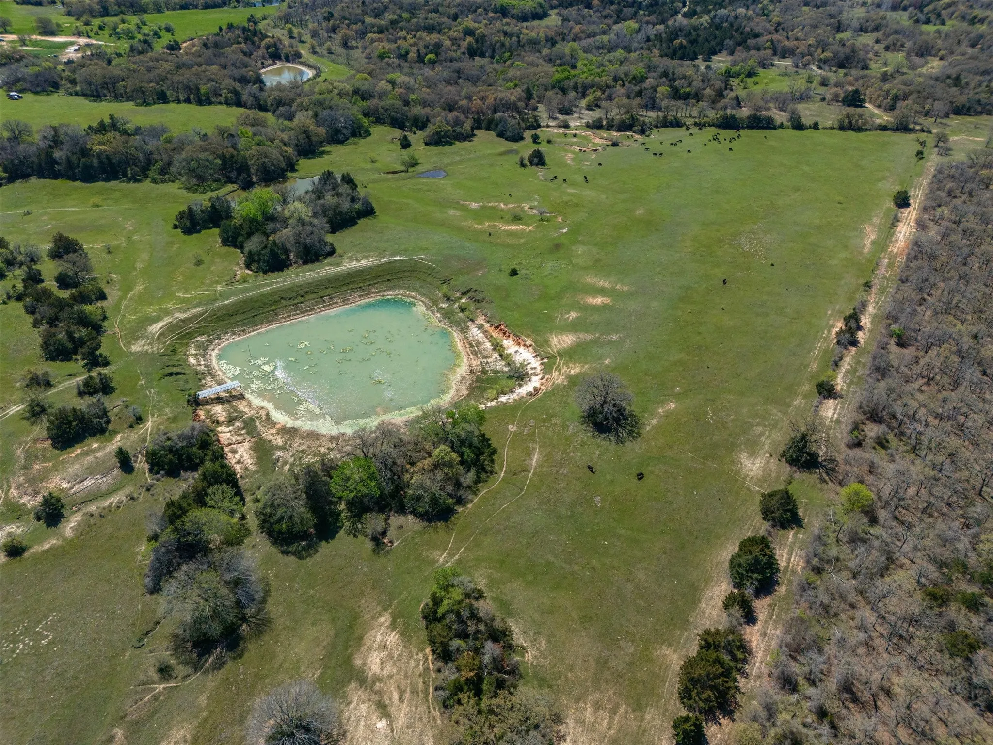 Improved Land For Sale in Wise County , 1230 County Road 2475, Alvord, Texas 76225, 0, 0, Garage spaces, 0 Sqft, built in 0, mls#21383905, Real Estate Agent in Alvord, Homes For Sale in Wise county, Homes For Sale in Alvord, Realtor in Alvord Texas, Real Estate Brokerage Independent Realty Texas, Luminita Cordes Realtor