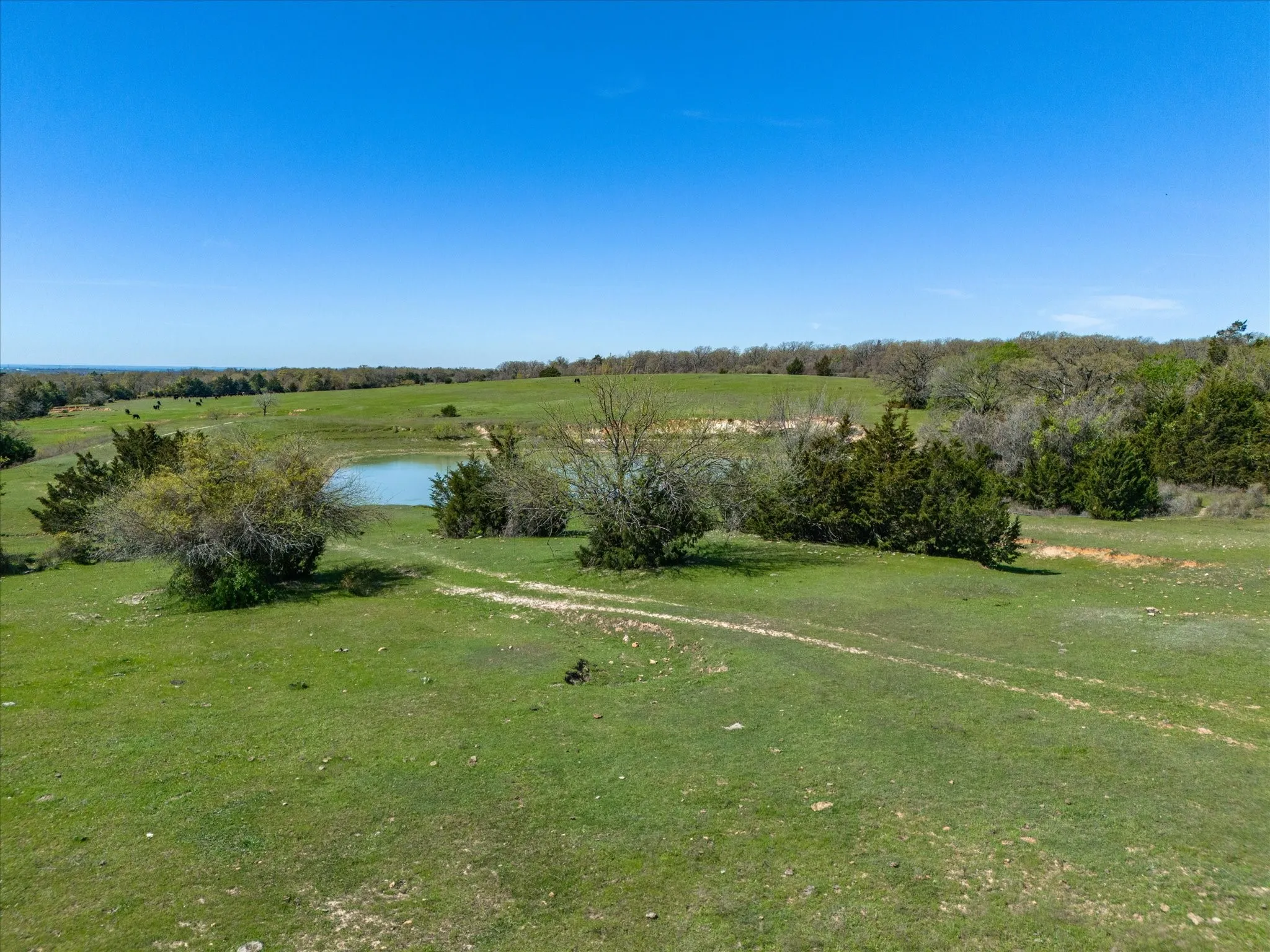 Improved Land For Sale in Wise County , 1230 County Road 2475, Alvord, Texas 76225, 0, 0, Garage spaces, 0 Sqft, built in 0, mls#21383905, Real Estate Agent in Alvord, Homes For Sale in Wise county, Homes For Sale in Alvord, Realtor in Alvord Texas, Real Estate Brokerage Independent Realty Texas, Luminita Cordes Realtor