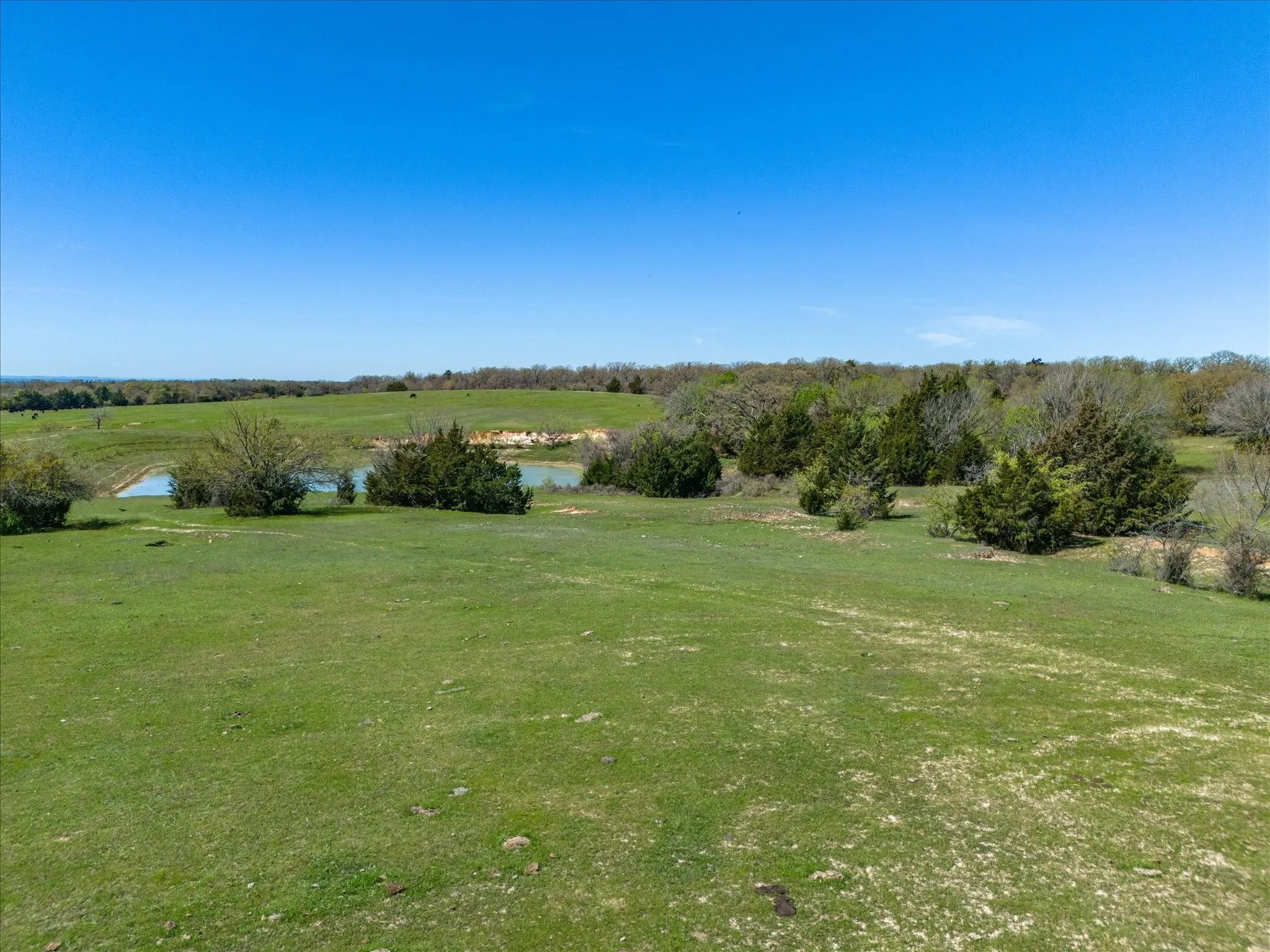 Improved Land For Sale in Wise County , 1230 County Road 2475, Alvord, Texas 76225, 0, 0, Garage spaces, 0 Sqft, built in 0, mls#21383905, Real Estate Agent in Alvord, Homes For Sale in Wise county, Homes For Sale in Alvord, Realtor in Alvord Texas, Real Estate Brokerage Independent Realty Texas, Luminita Cordes Realtor