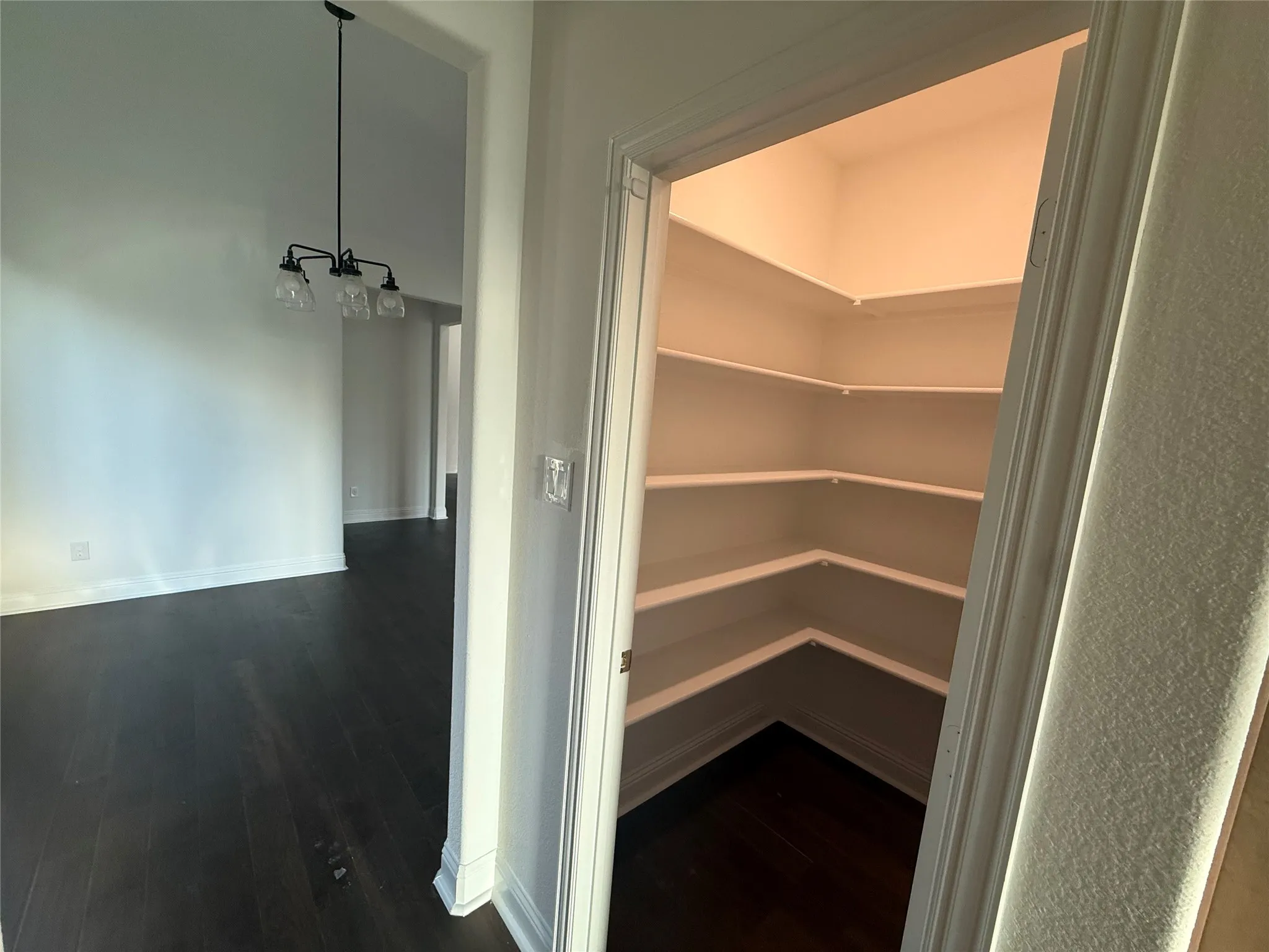 Expansive pantry with ample shelving, dark wood-finish flooring, and a modern chandelier