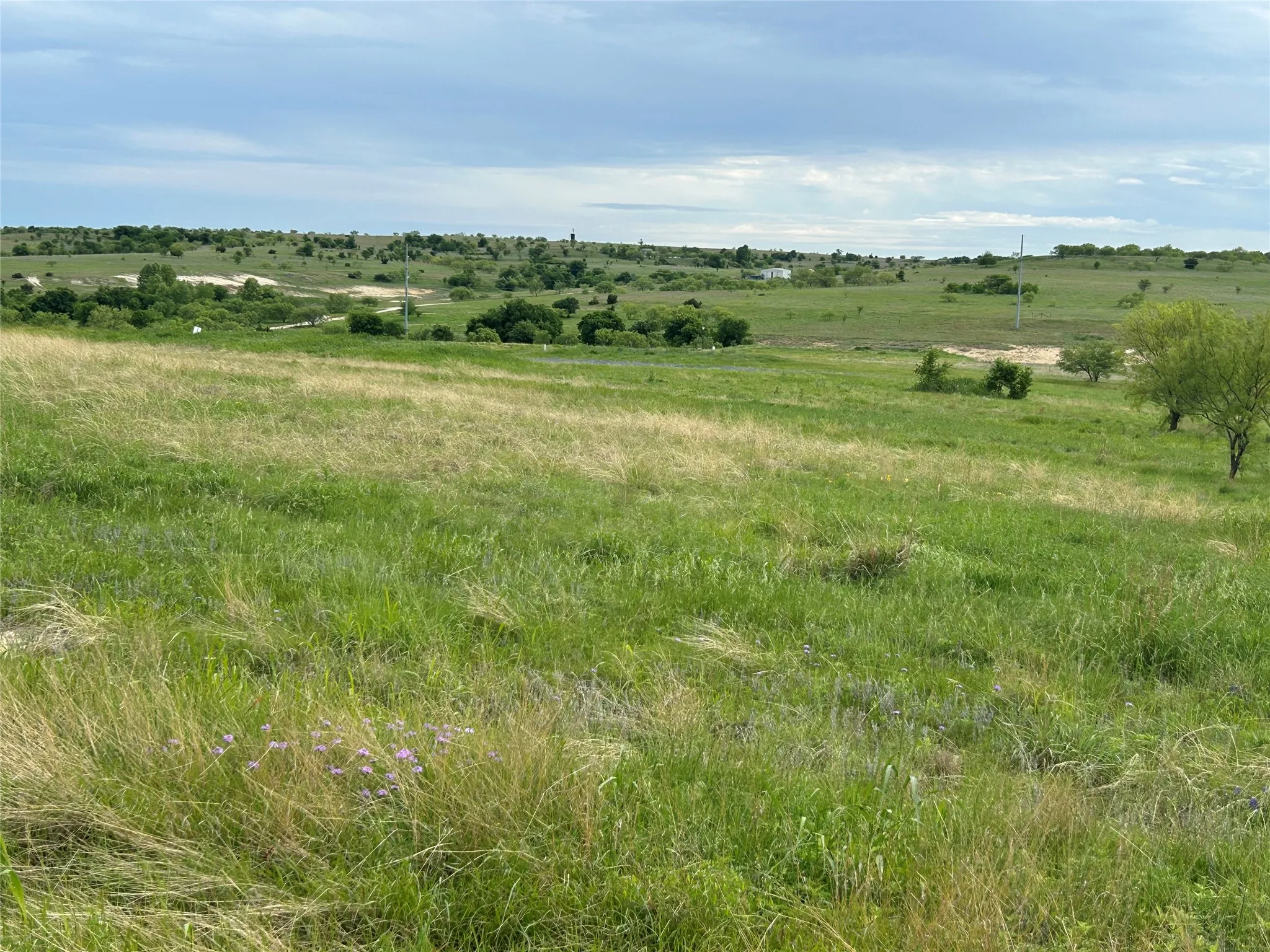 Unimproved Land For Sale in Parker County , 5000 Luker Street, Aledo, Texas 76008, 0, 0, Garage spaces, 0 Sqft, built in 0, mls#21384502, Real Estate Agent in Aledo, Homes For Sale in Parker county, Homes For Sale in Aledo, Realtor in Aledo Texas, Real Estate Brokerage Independent Realty Texas, Luminita Cordes Realtor