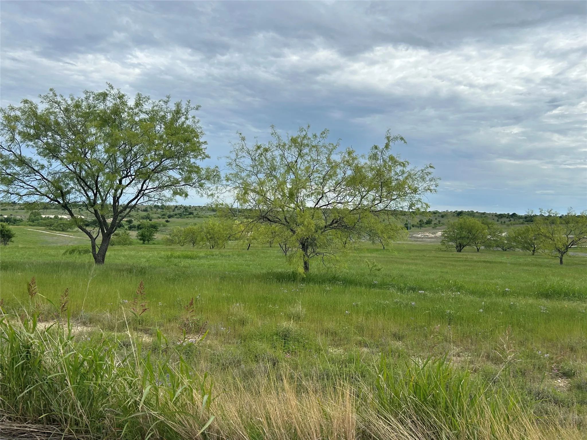 Unimproved Land For Sale in Parker County , 5000 Luker Street, Aledo, Texas 76008, 0, 0, Garage spaces, 0 Sqft, built in 0, mls#21384502, Real Estate Agent in Aledo, Homes For Sale in Parker county, Homes For Sale in Aledo, Realtor in Aledo Texas, Real Estate Brokerage Independent Realty Texas, Luminita Cordes Realtor