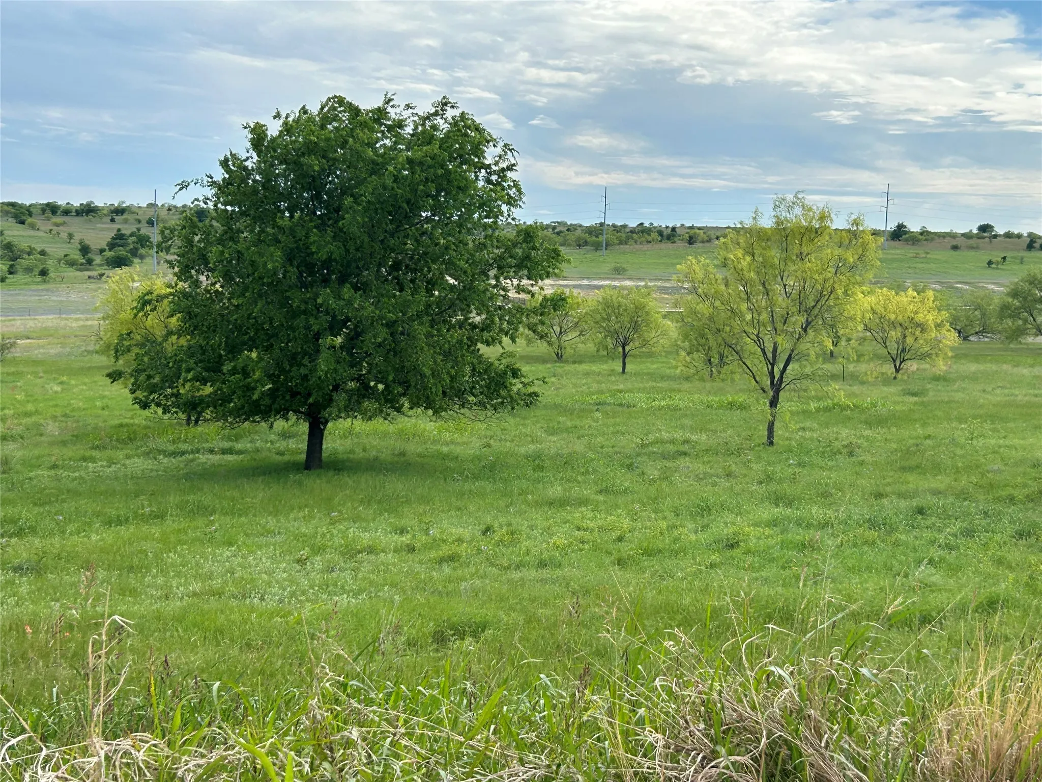 Unimproved Land For Sale in Parker County , 5000 Luker Street, Aledo, Texas 76008, 0, 0, Garage spaces, 0 Sqft, built in 0, mls#21384502, Real Estate Agent in Aledo, Homes For Sale in Parker county, Homes For Sale in Aledo, Realtor in Aledo Texas, Real Estate Brokerage Independent Realty Texas, Luminita Cordes Realtor
