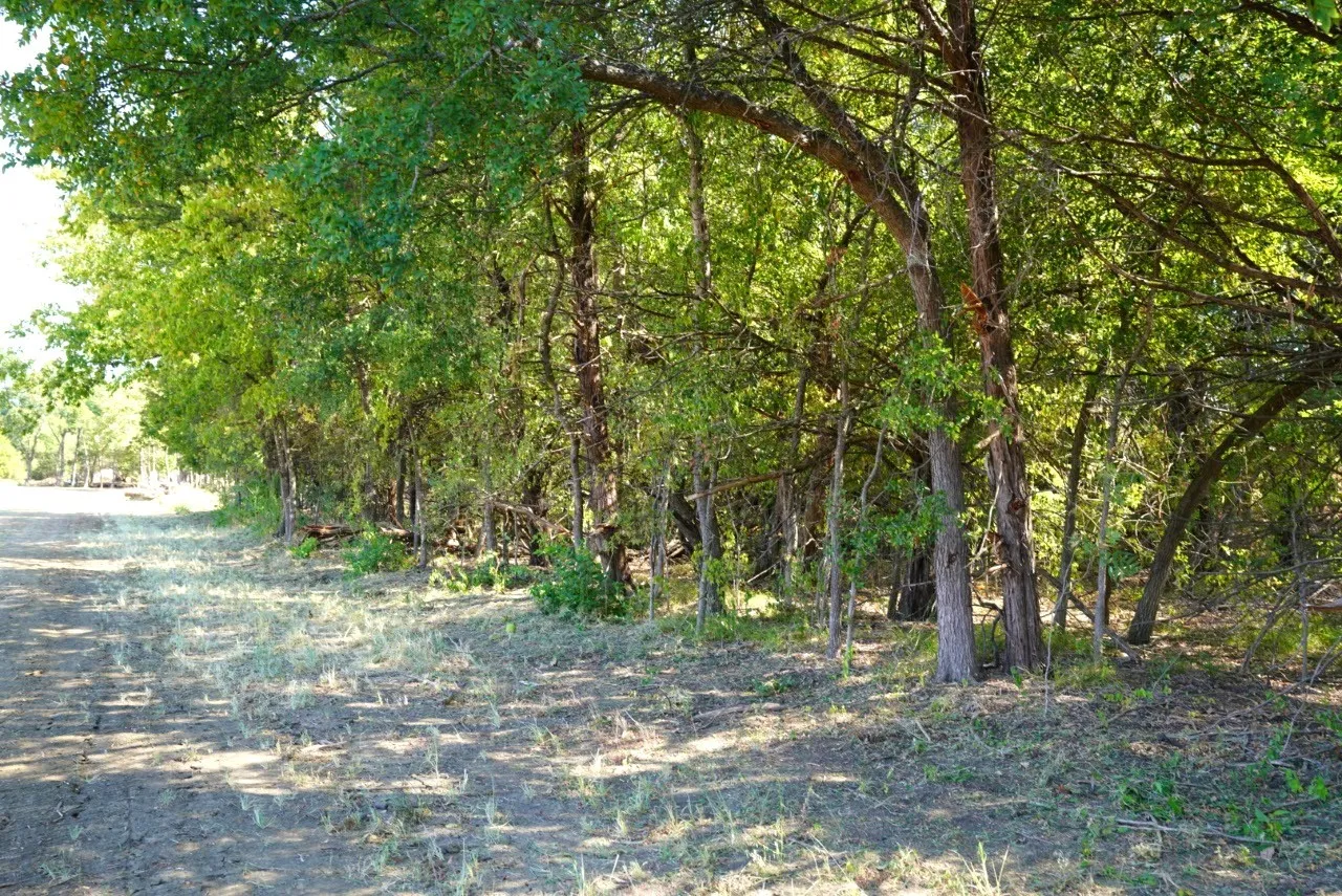 Improved Land For Sale in Lamar County , 55 County Road 42351, Paris, Texas 75462, 0, 0, Garage spaces, 0 Sqft, built in 0, mls#21384555, Real Estate Agent in Paris, Homes For Sale in Lamar county, Homes For Sale in Paris, Realtor in Paris Texas, Real Estate Brokerage Independent Realty Texas, Luminita Cordes Realtor
