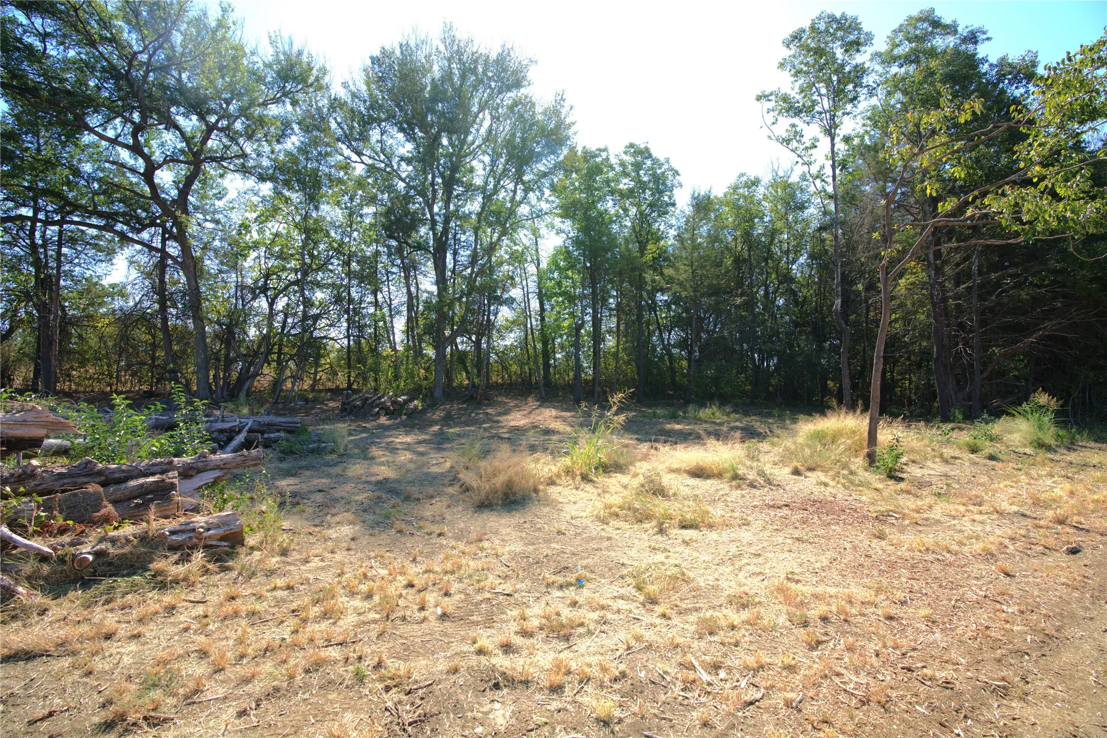 Improved Land For Sale in Lamar County , 55 County Road 42351, Paris, Texas 75462, 0, 0, Garage spaces, 0 Sqft, built in 0, mls#21384555, Real Estate Agent in Paris, Homes For Sale in Lamar county, Homes For Sale in Paris, Realtor in Paris Texas, Real Estate Brokerage Independent Realty Texas, Luminita Cordes Realtor