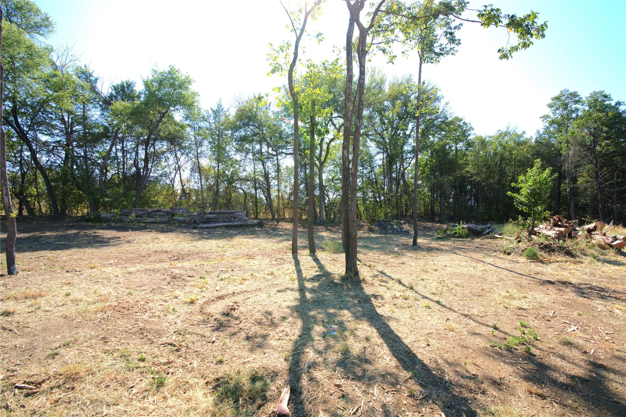 Improved Land For Sale in Lamar County , 55 County Road 42351, Paris, Texas 75462, 0, 0, Garage spaces, 0 Sqft, built in 0, mls#21384555, Real Estate Agent in Paris, Homes For Sale in Lamar county, Homes For Sale in Paris, Realtor in Paris Texas, Real Estate Brokerage Independent Realty Texas, Luminita Cordes Realtor