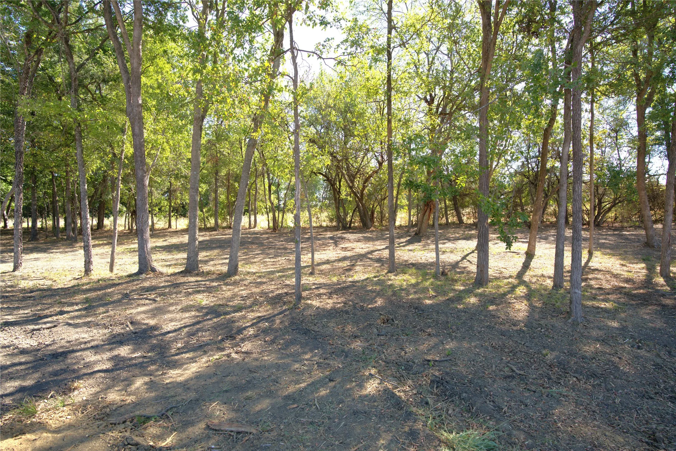Improved Land For Sale in Lamar County , 55 County Road 42351, Paris, Texas 75462, 0, 0, Garage spaces, 0 Sqft, built in 0, mls#21384555, Real Estate Agent in Paris, Homes For Sale in Lamar county, Homes For Sale in Paris, Realtor in Paris Texas, Real Estate Brokerage Independent Realty Texas, Luminita Cordes Realtor