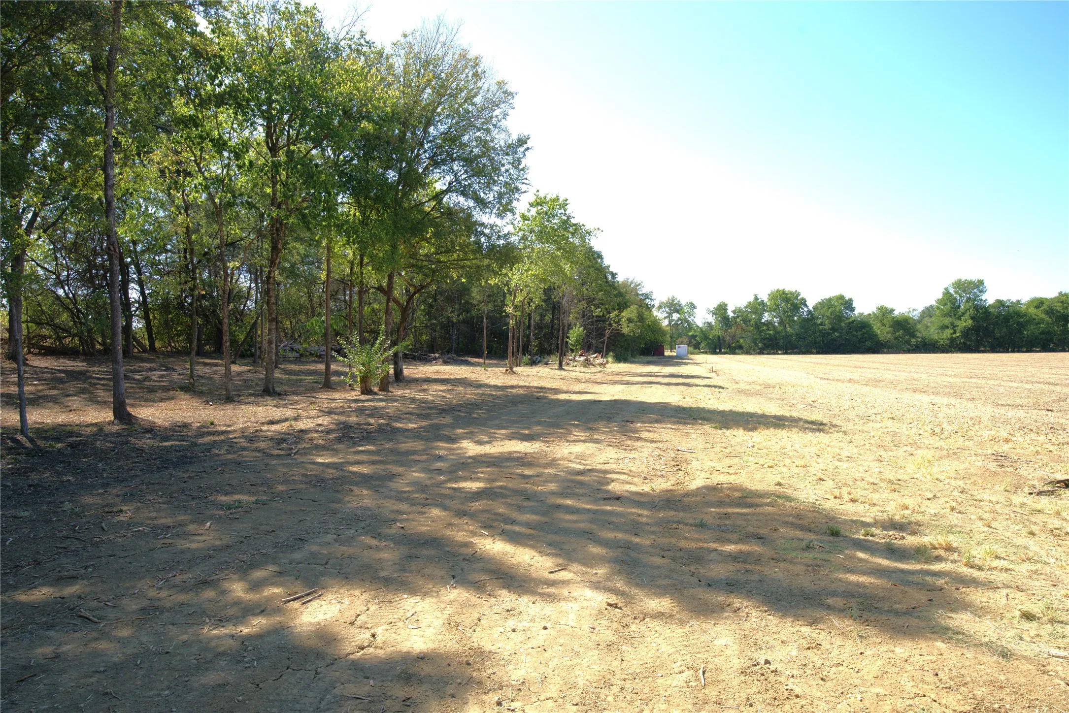 Improved Land For Sale in Lamar County , 55 County Road 42351, Paris, Texas 75462, 0, 0, Garage spaces, 0 Sqft, built in 0, mls#21384555, Real Estate Agent in Paris, Homes For Sale in Lamar county, Homes For Sale in Paris, Realtor in Paris Texas, Real Estate Brokerage Independent Realty Texas, Luminita Cordes Realtor