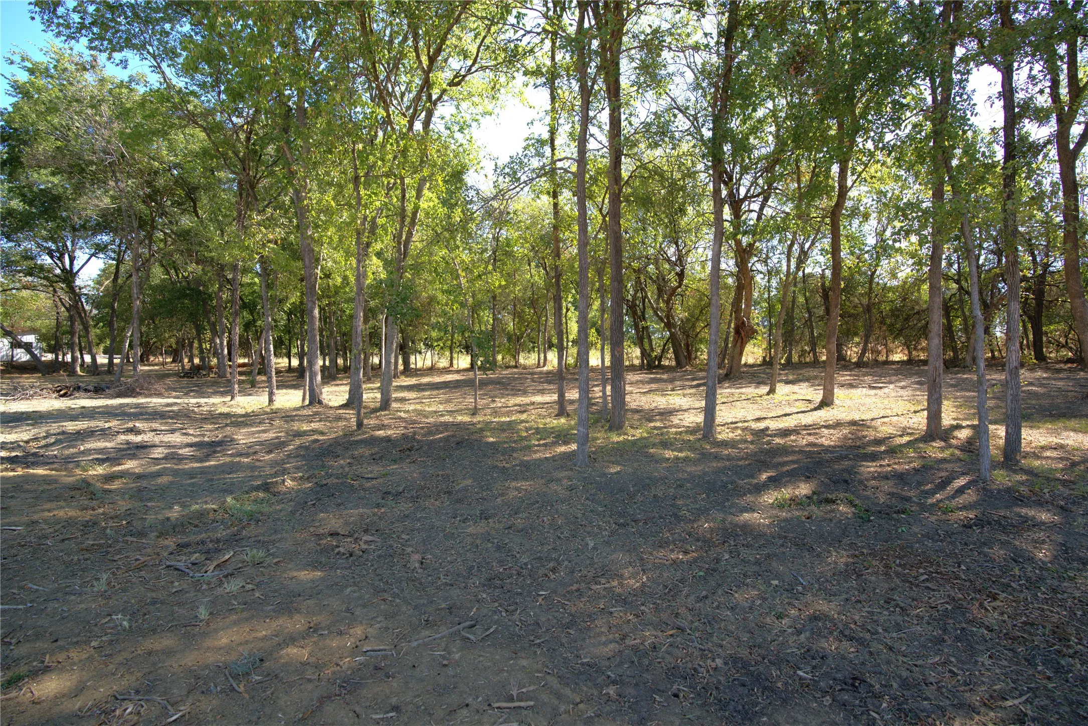 Improved Land For Sale in Lamar County , 55 County Road 42351, Paris, Texas 75462, 0, 0, Garage spaces, 0 Sqft, built in 0, mls#21384555, Real Estate Agent in Paris, Homes For Sale in Lamar county, Homes For Sale in Paris, Realtor in Paris Texas, Real Estate Brokerage Independent Realty Texas, Luminita Cordes Realtor
